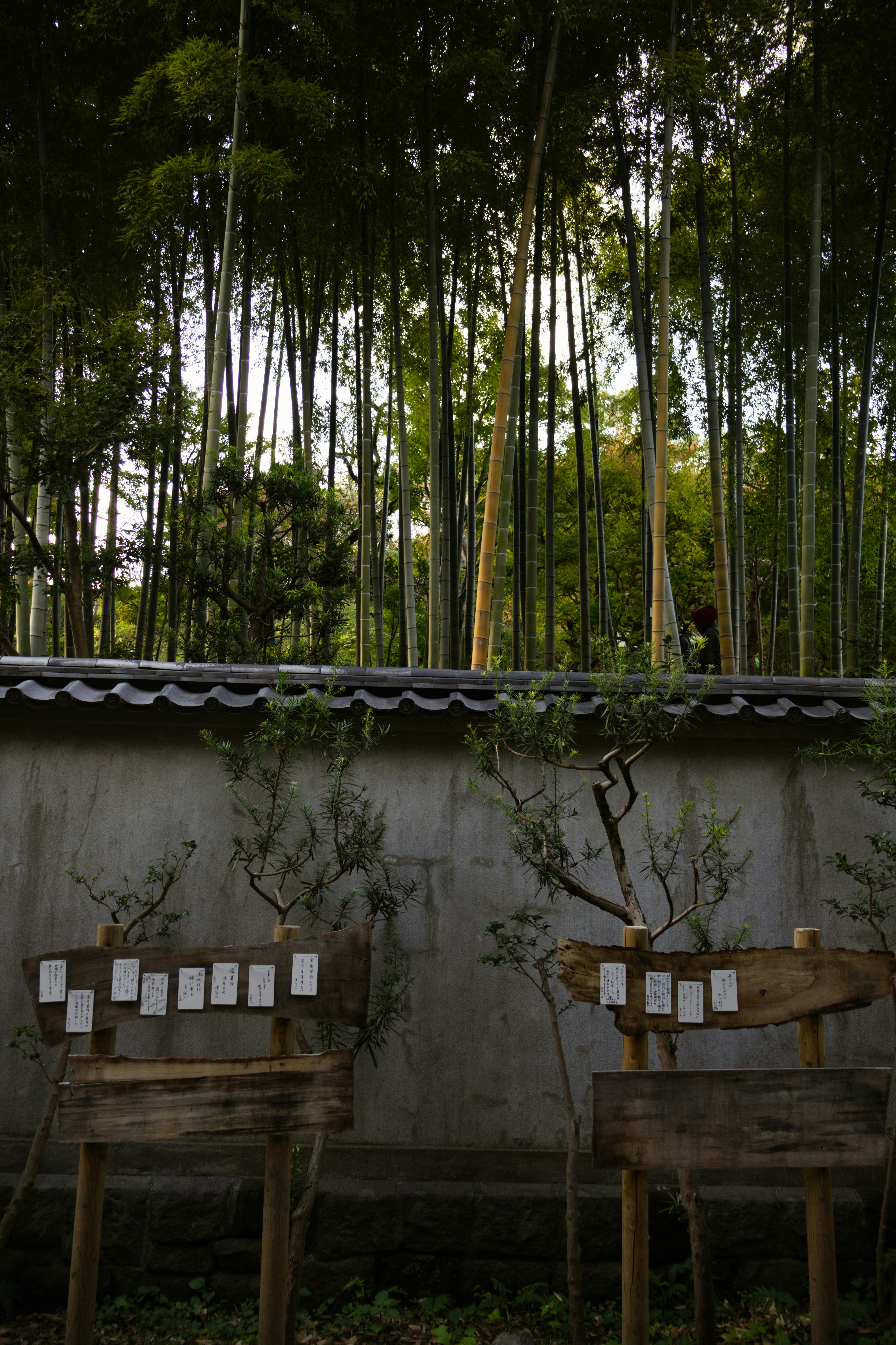 Photo by katekasiutich