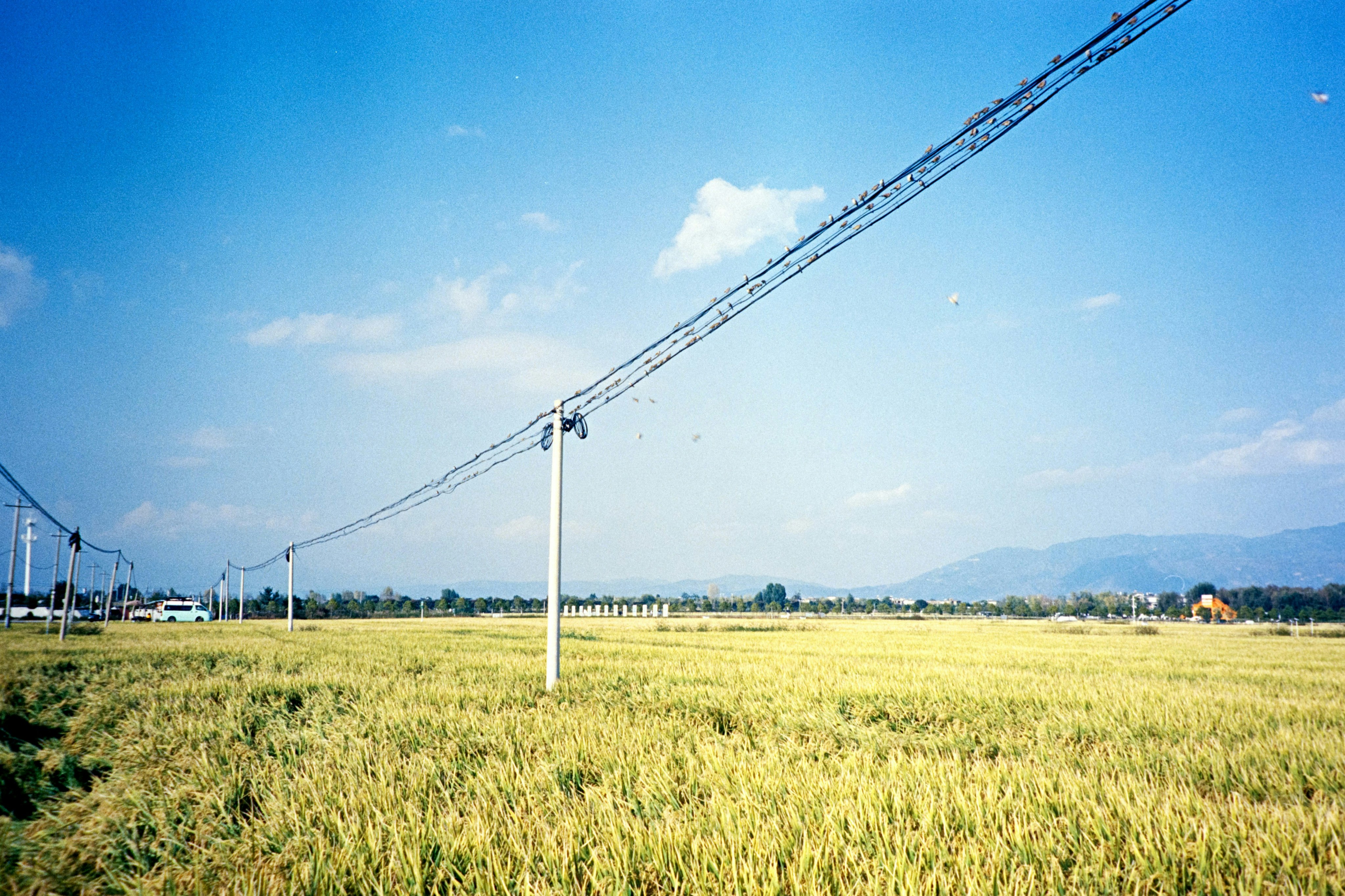 Satellite Internet Rural