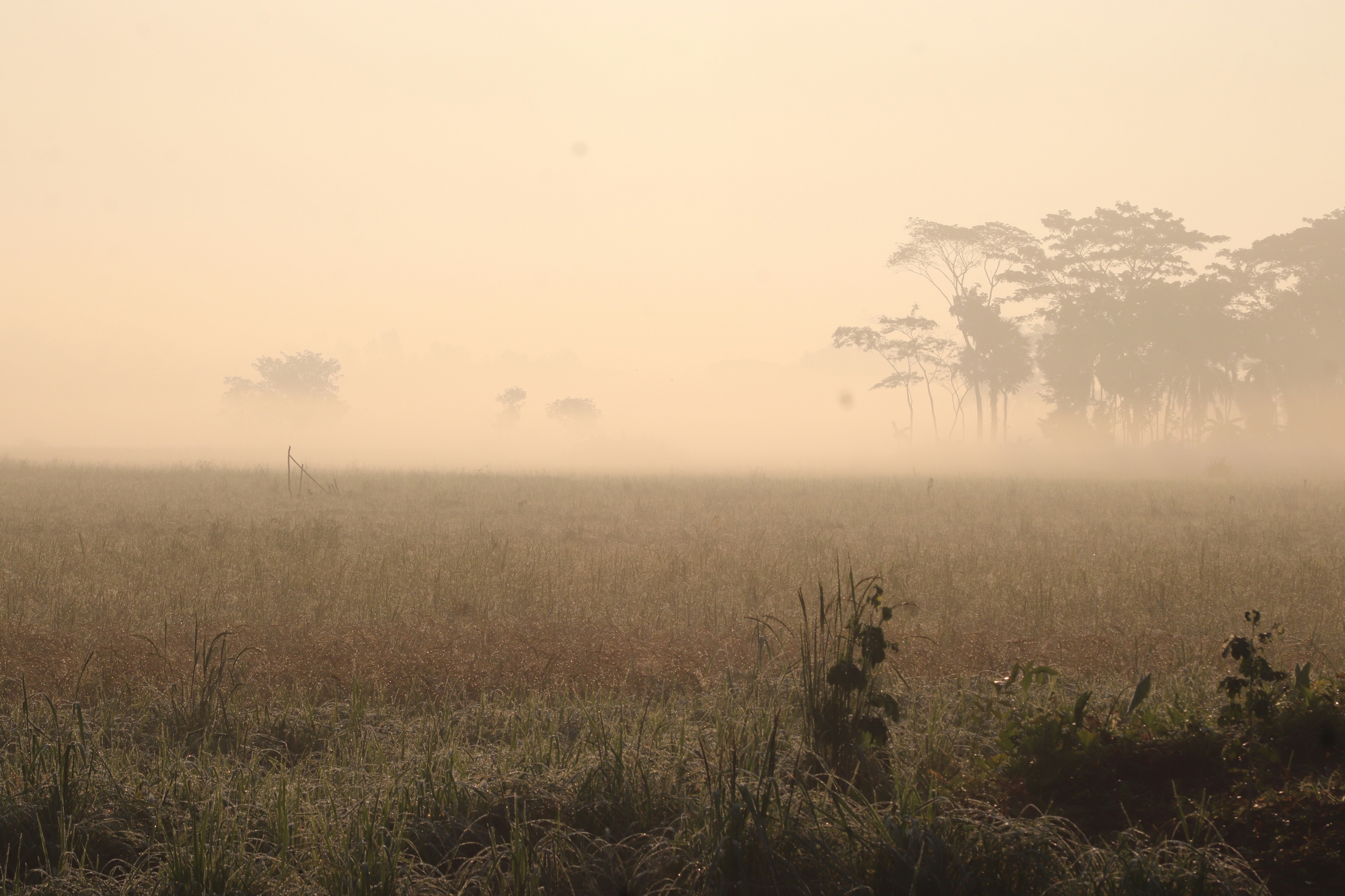 Photo by shadinnature