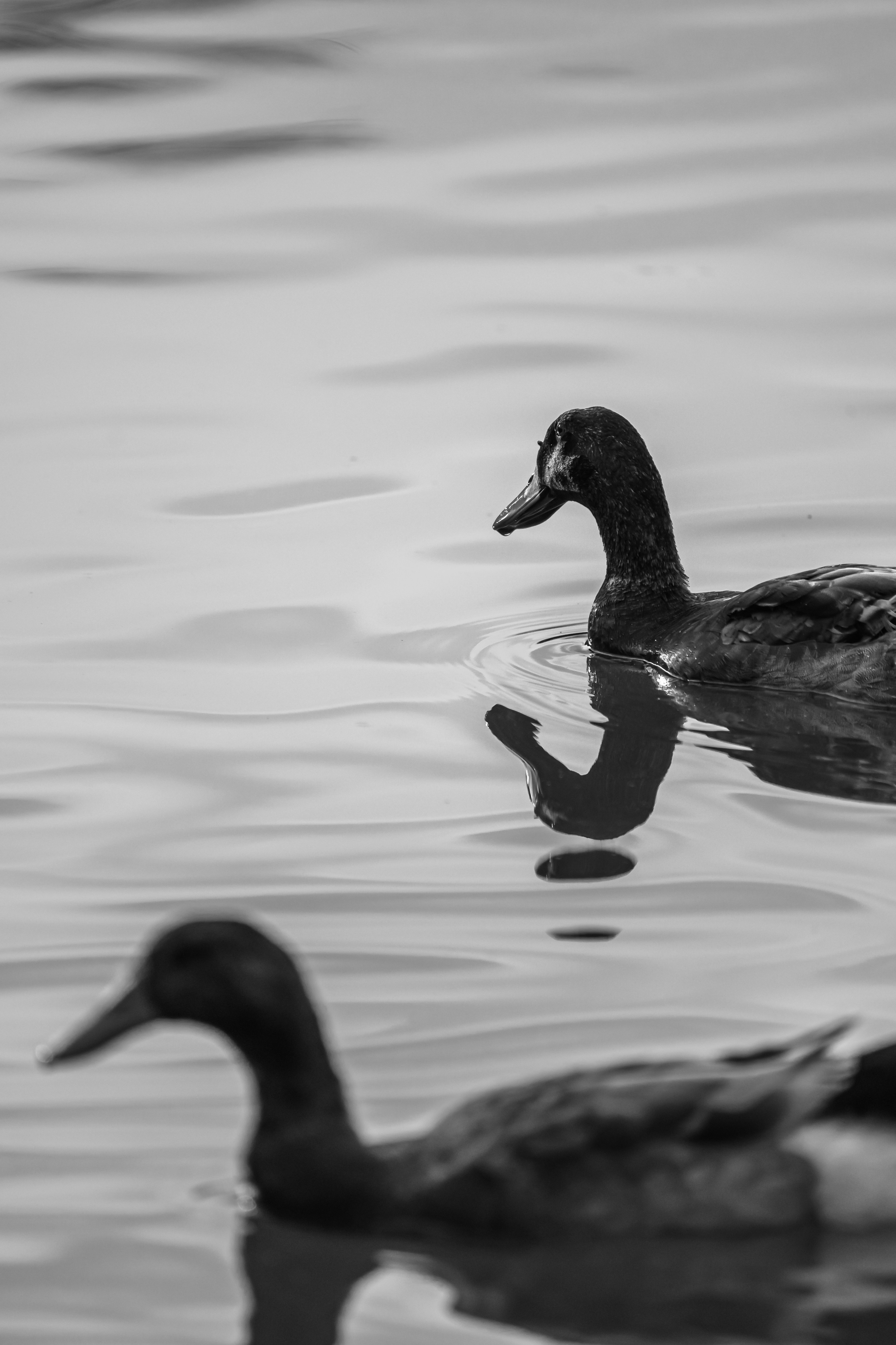 Photo by peek_a_boo_who