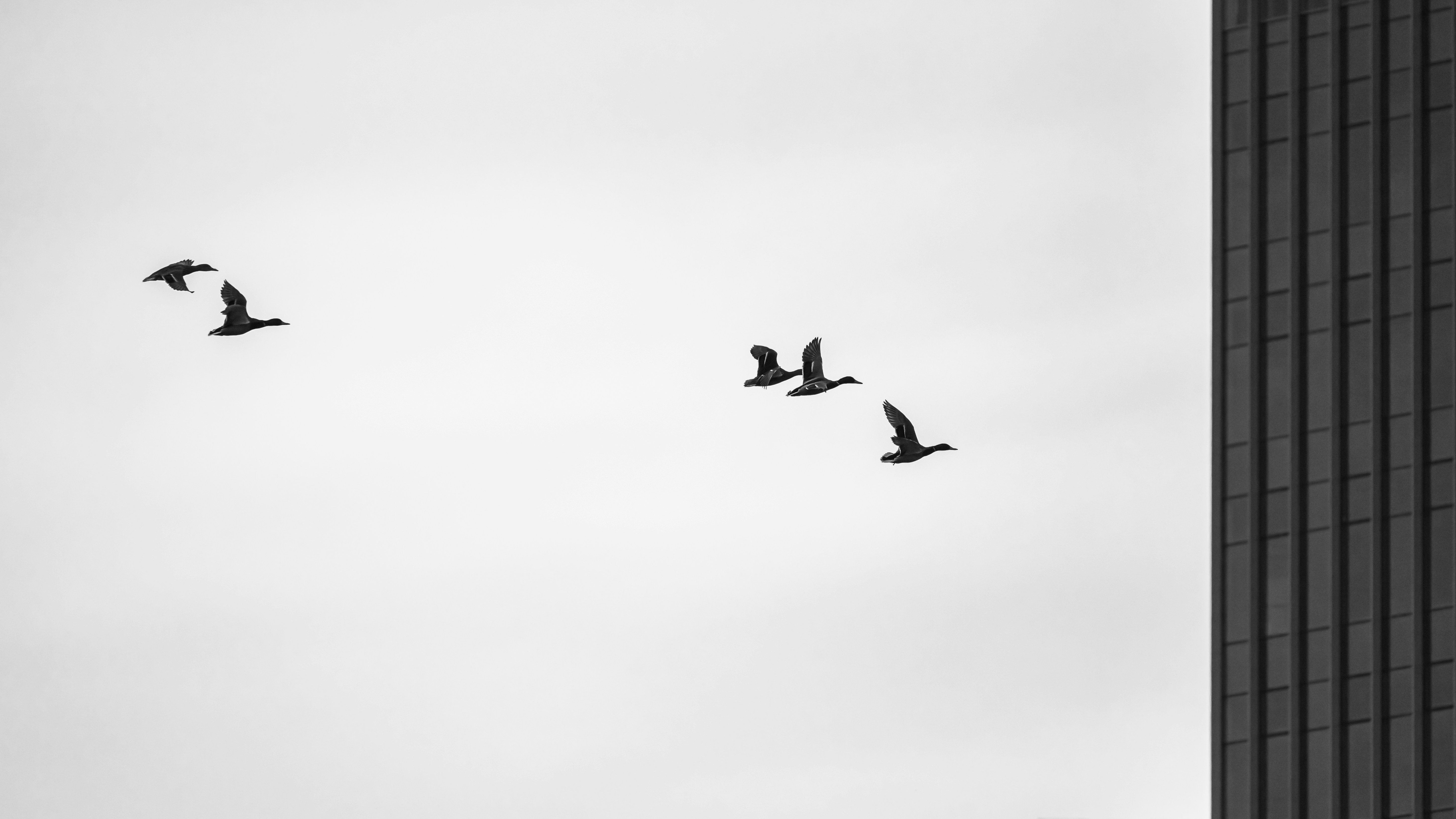 Photo by peek_a_boo_who