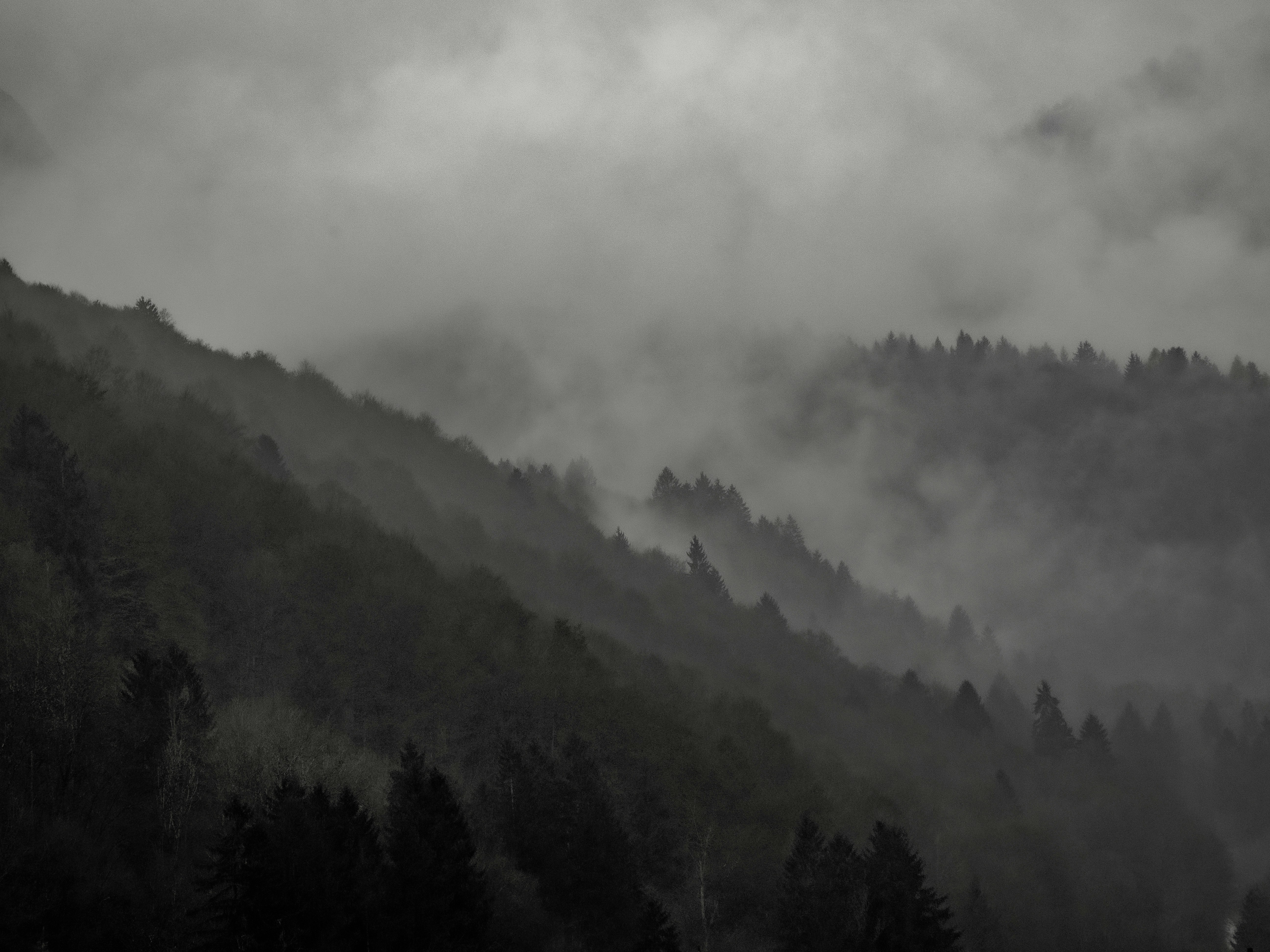 Photo by gopitri_prem