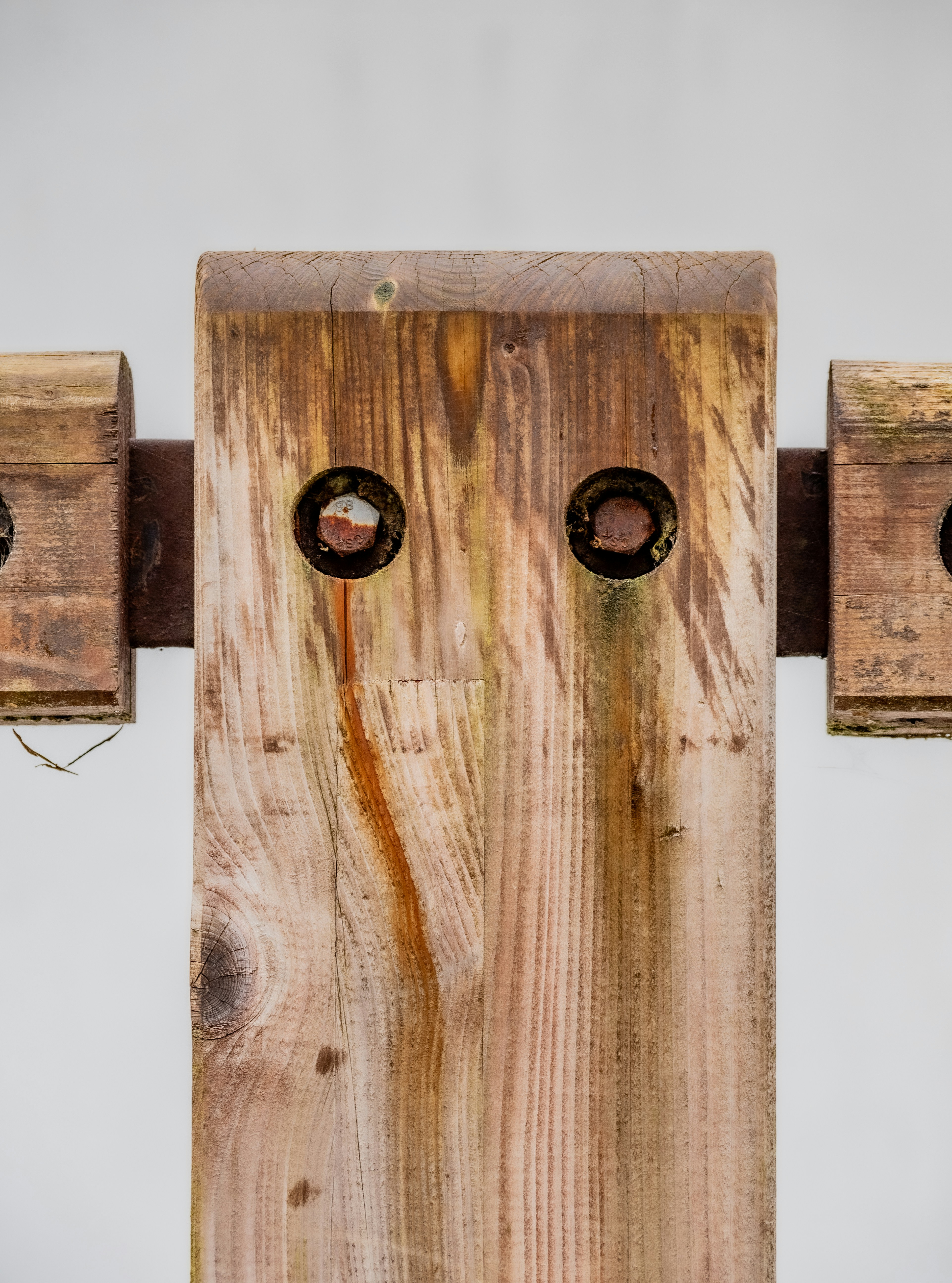 Photo by gopitri_prem