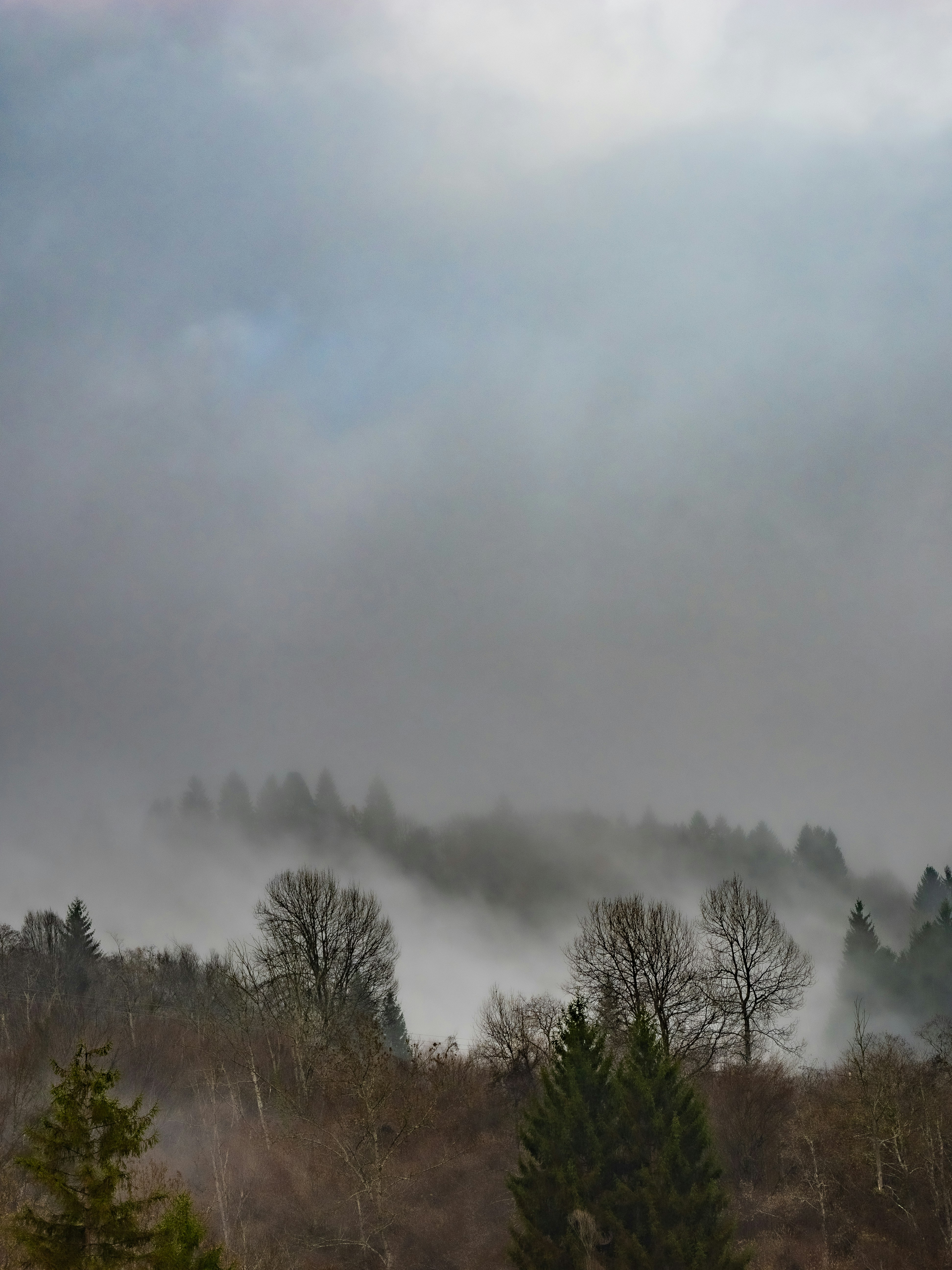 Photo by gopitri_prem