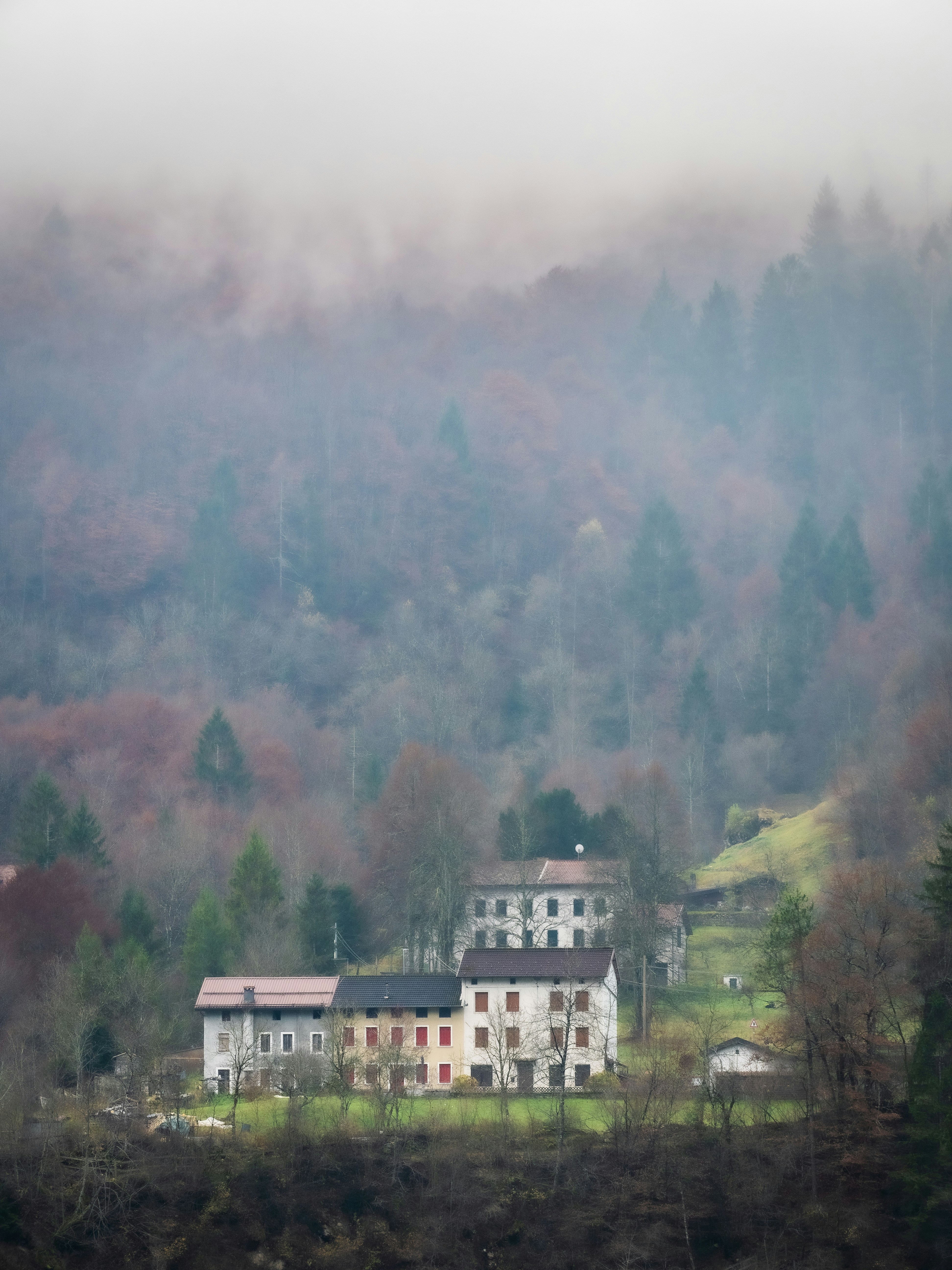 La ferme au bord de la forêt