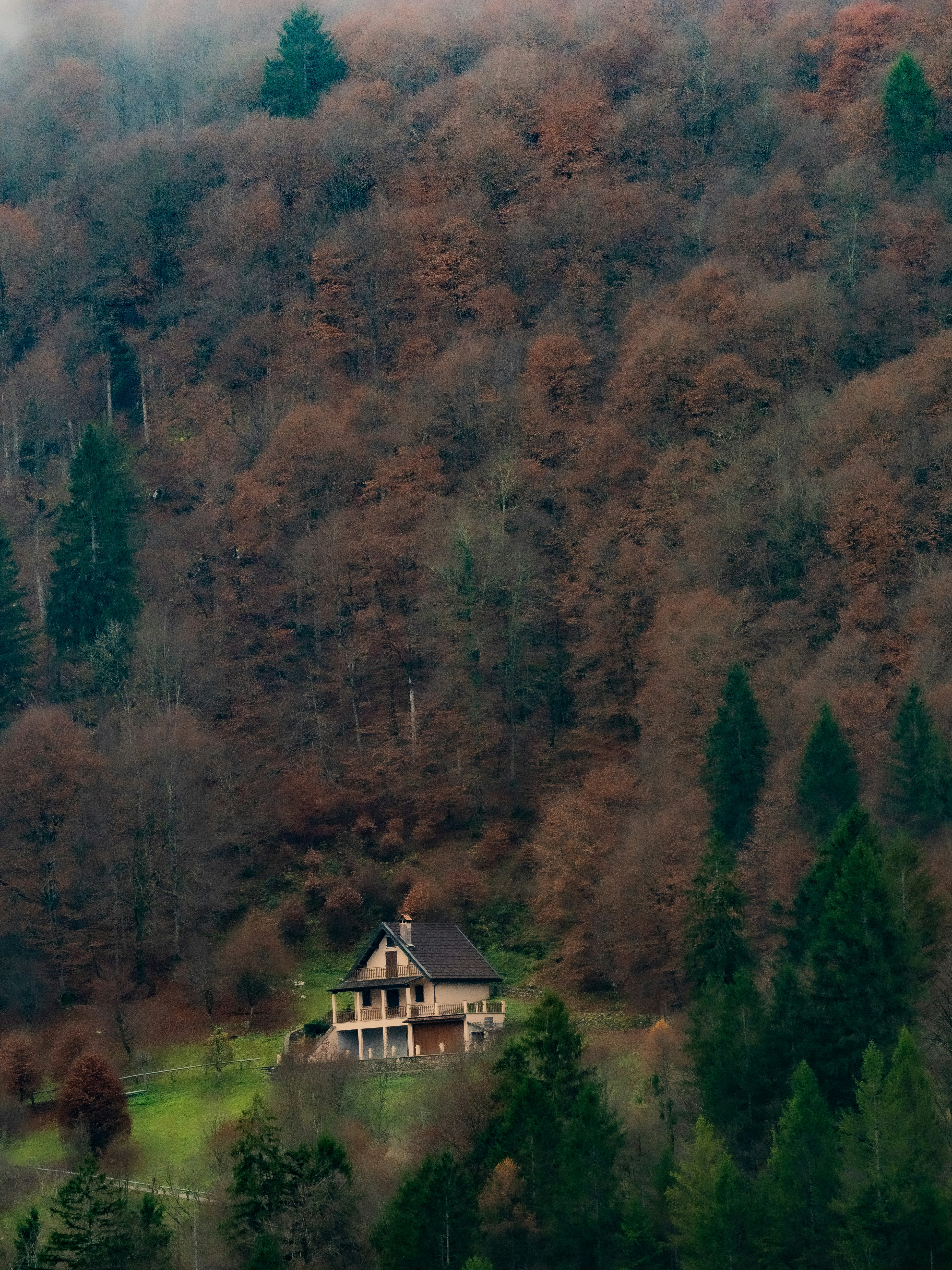 Photo by gopitri_prem