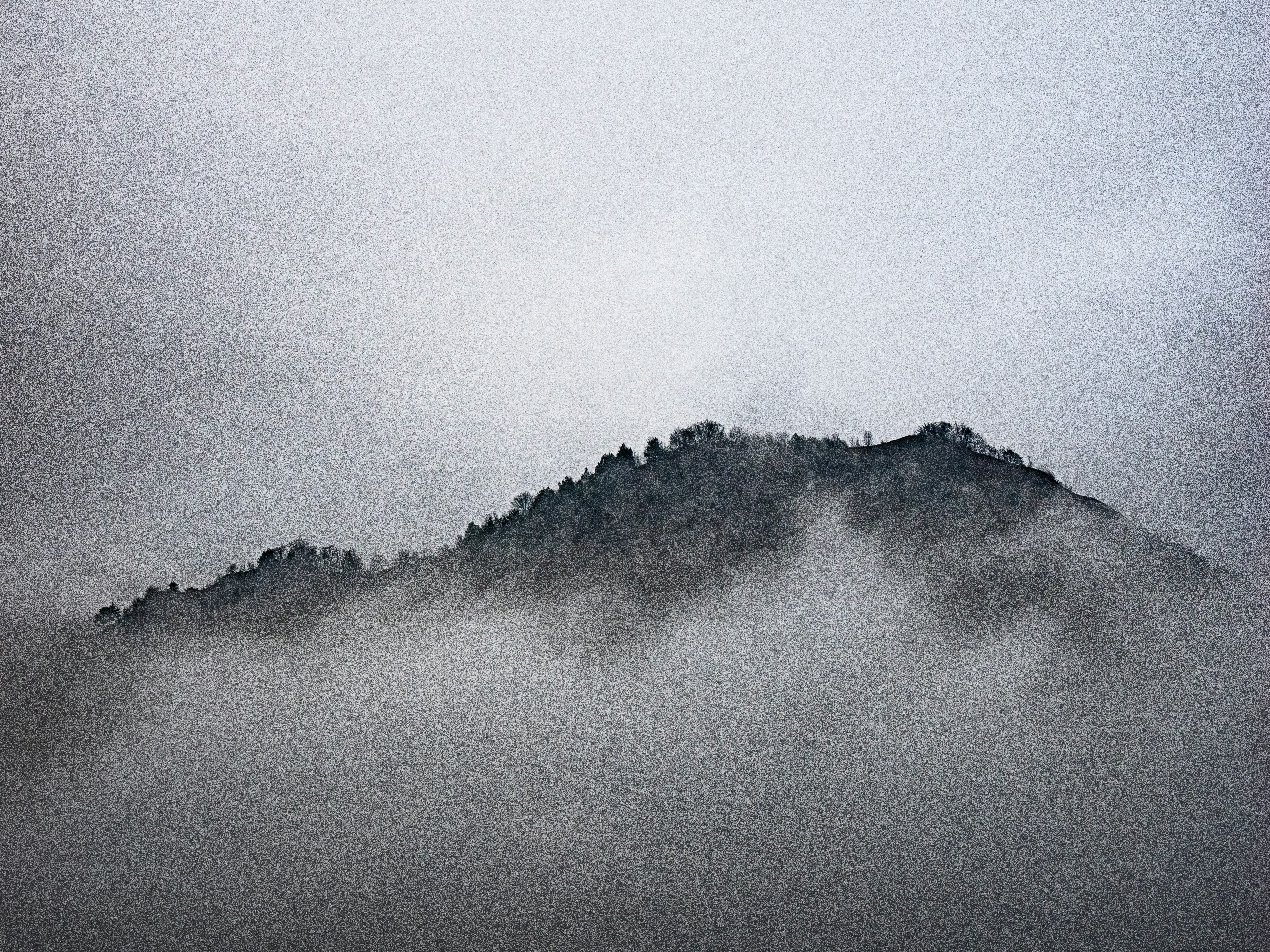 Photo by gopitri_prem