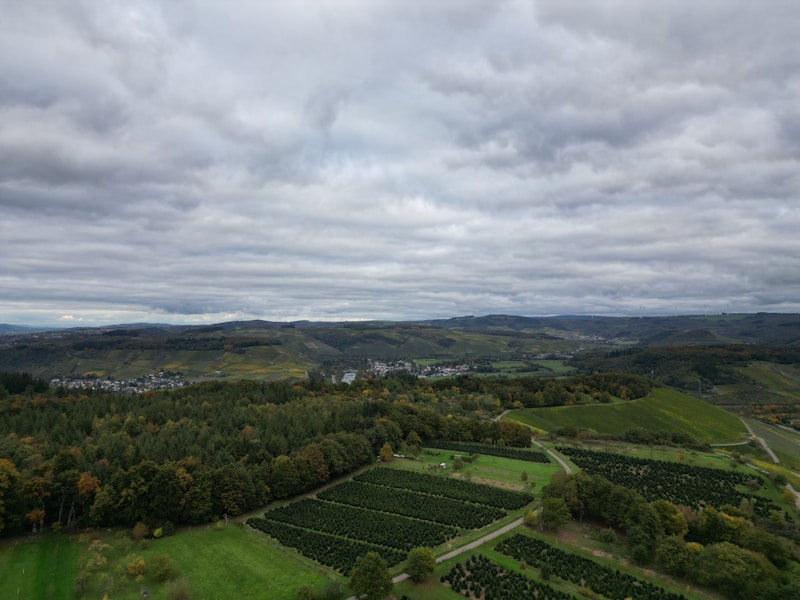 Weingut Georg Breuer — Rüdesheim am Rhein