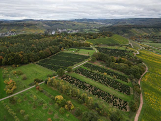 Aerial view of vineyards and rolling hills under cloudy sky