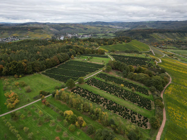 Aerial view of vineyards and rolling hills under cloudy sky