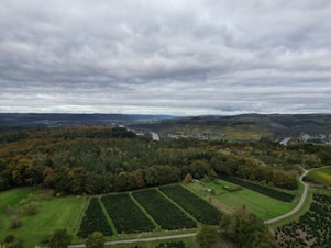 Overcast sky above forested hills and cultivated fields.