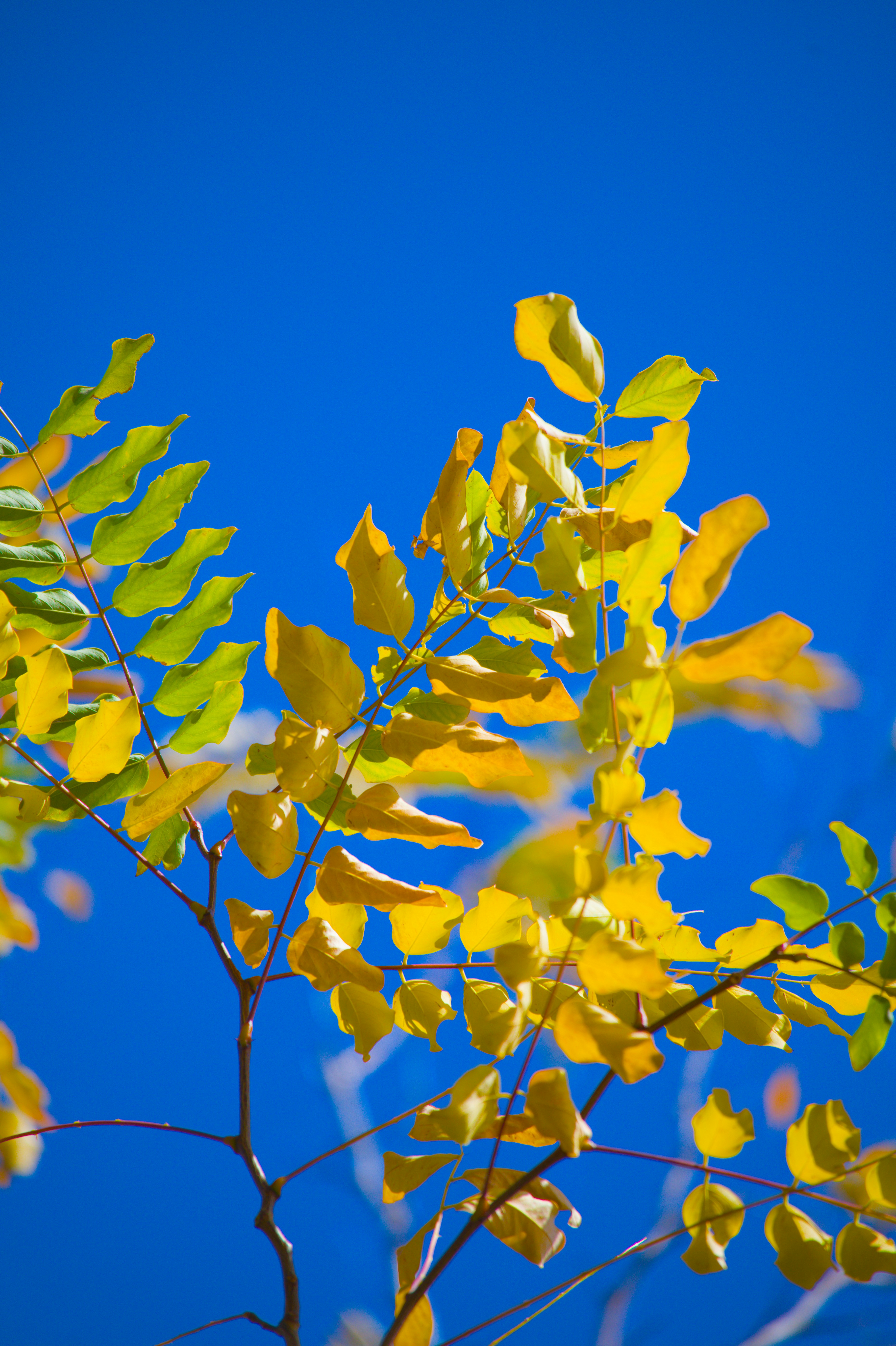 Photo by aminzabardast