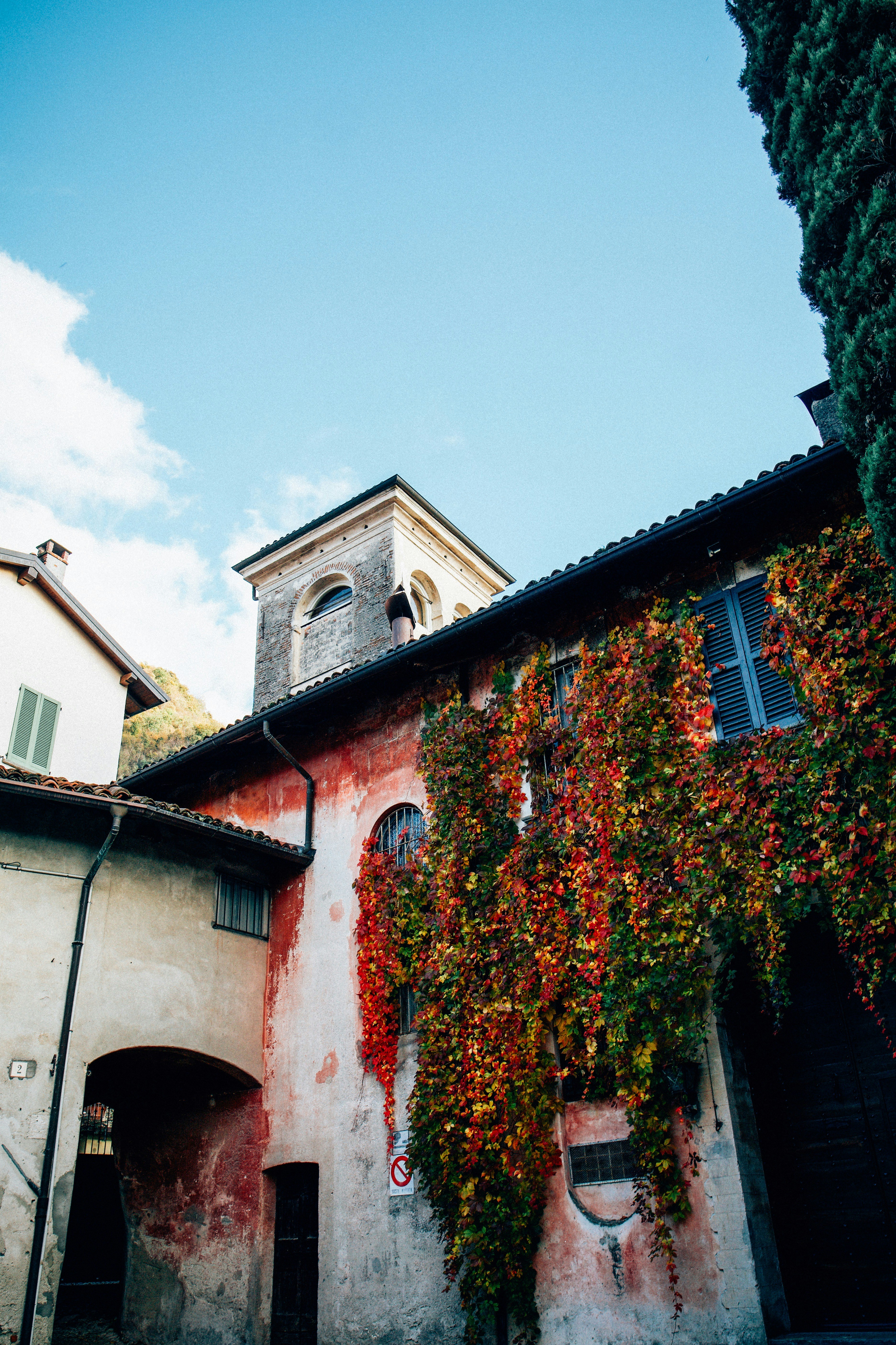 Photo by christianlue