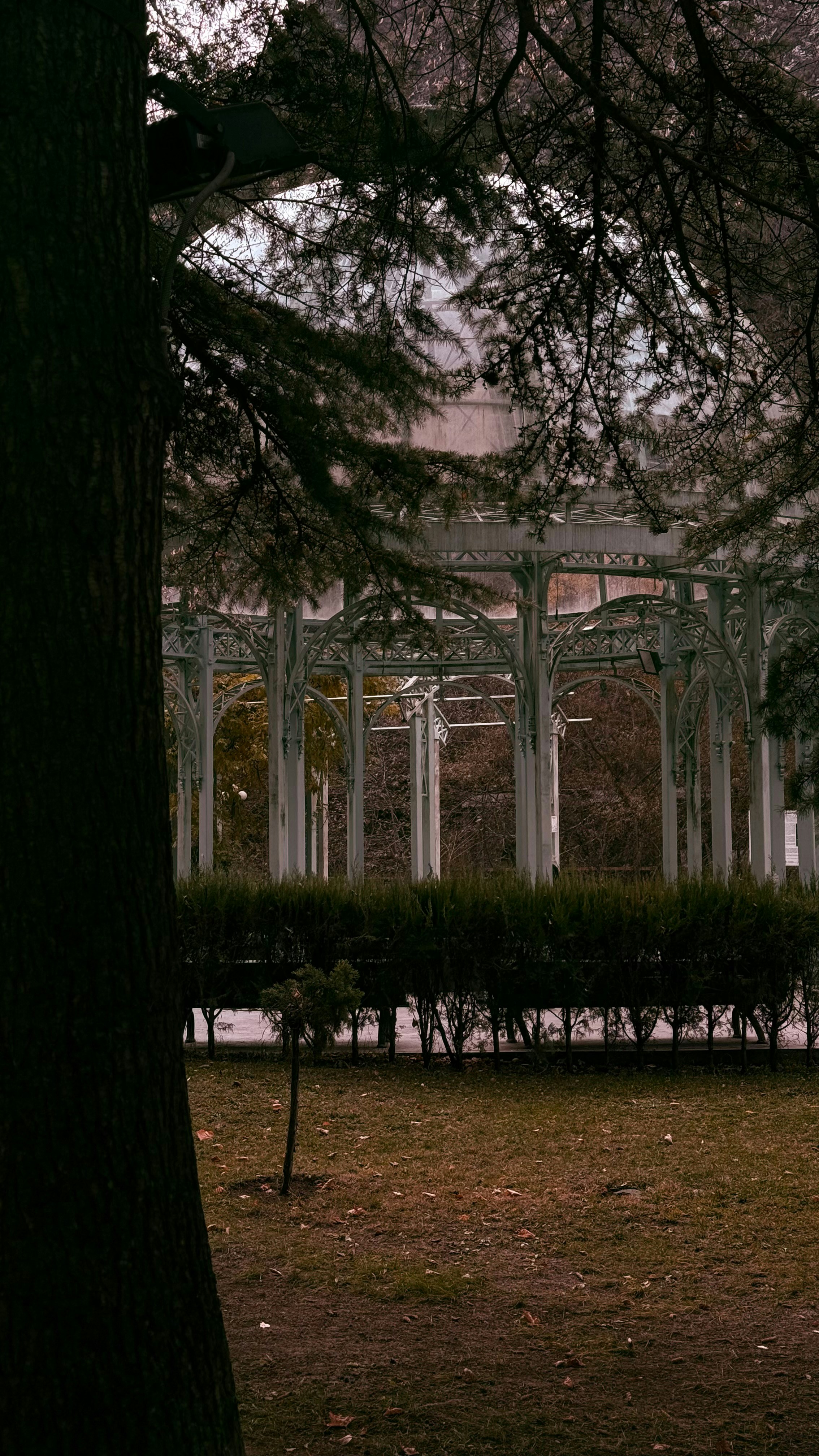 Photo by nsepashvvili