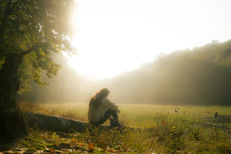 Person sitting in a misty field at sunrise.