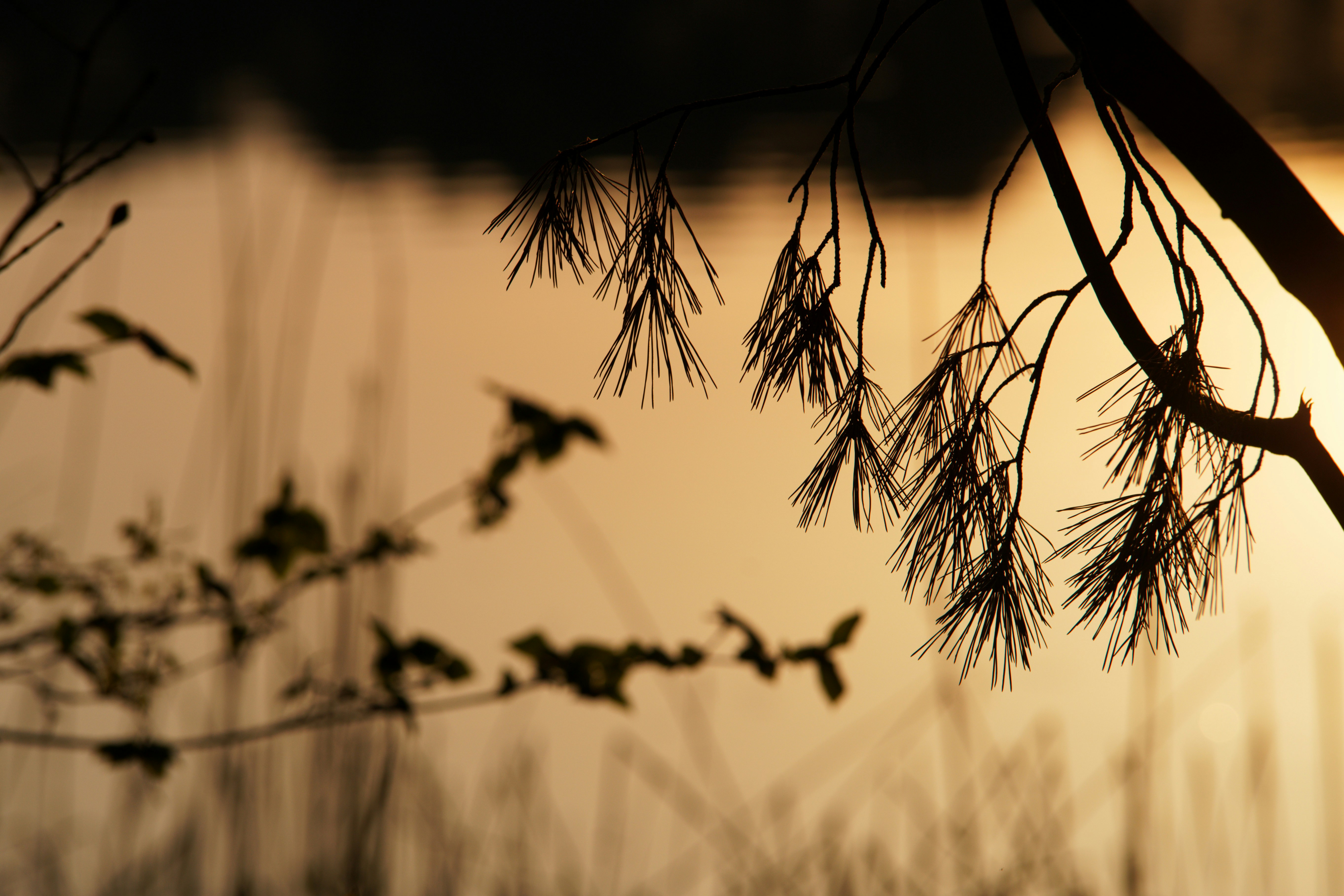 Photo by da_shika_photo