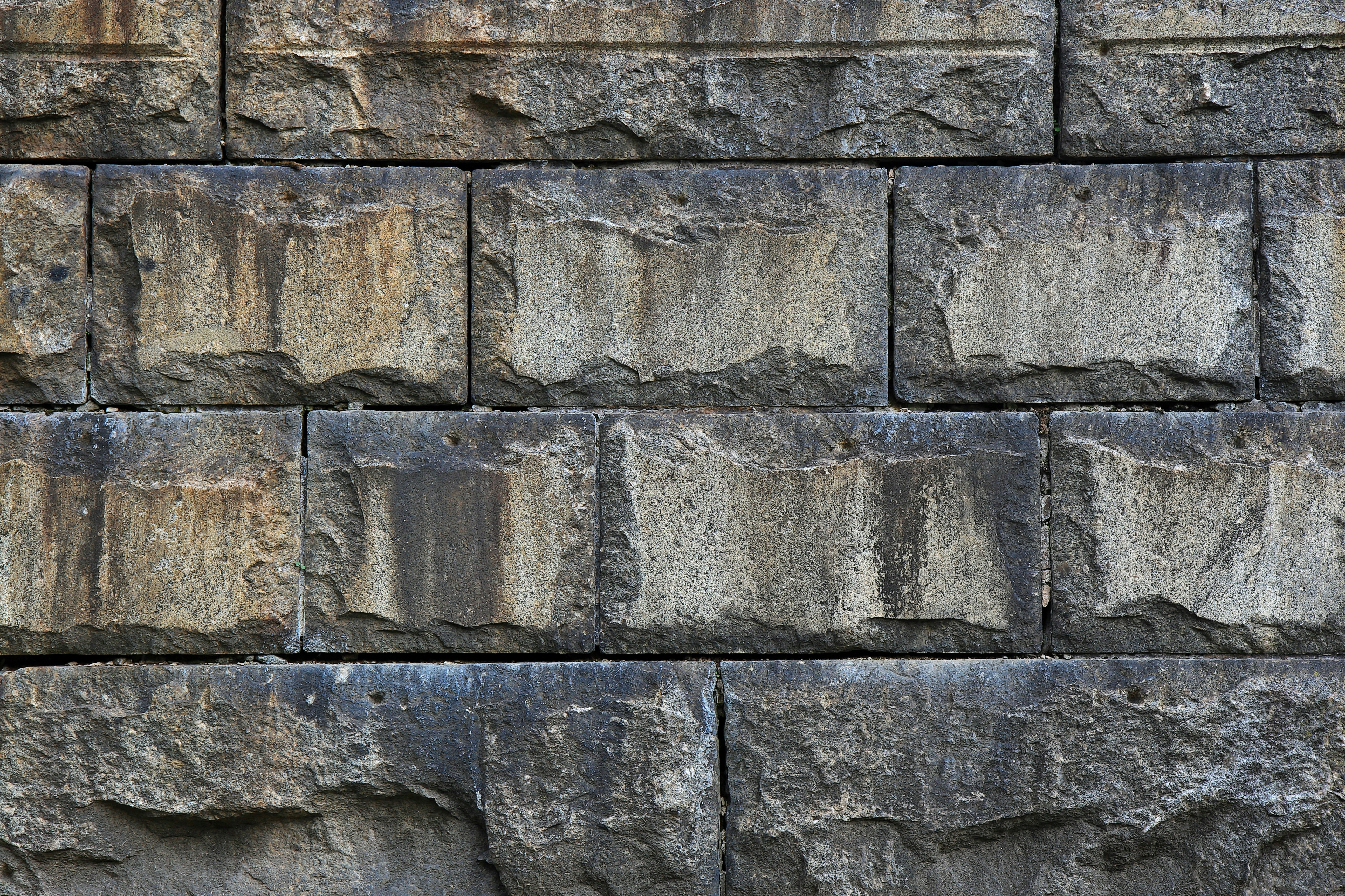 Photo by john_cardamone