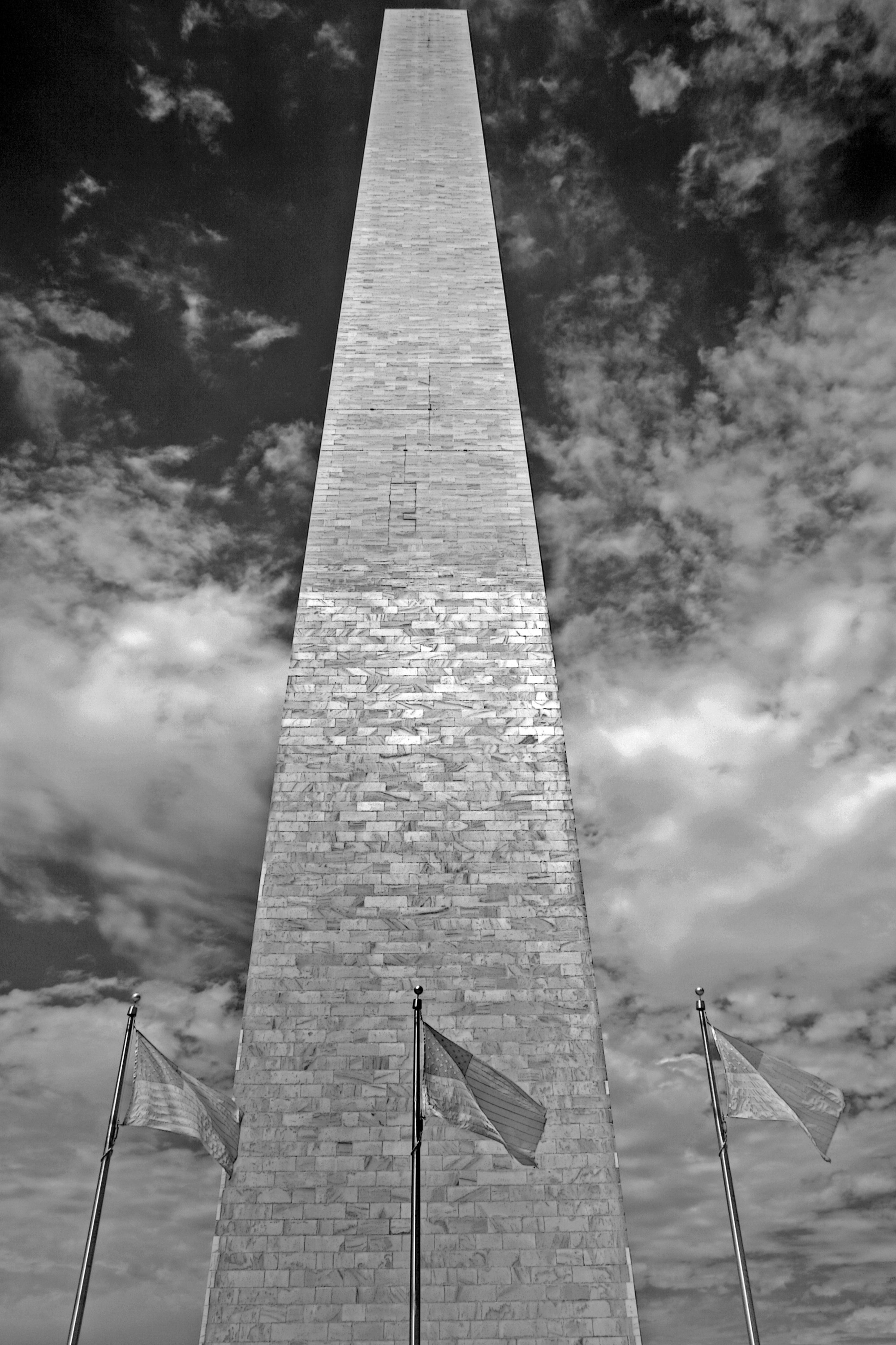 Photo by john_cardamone