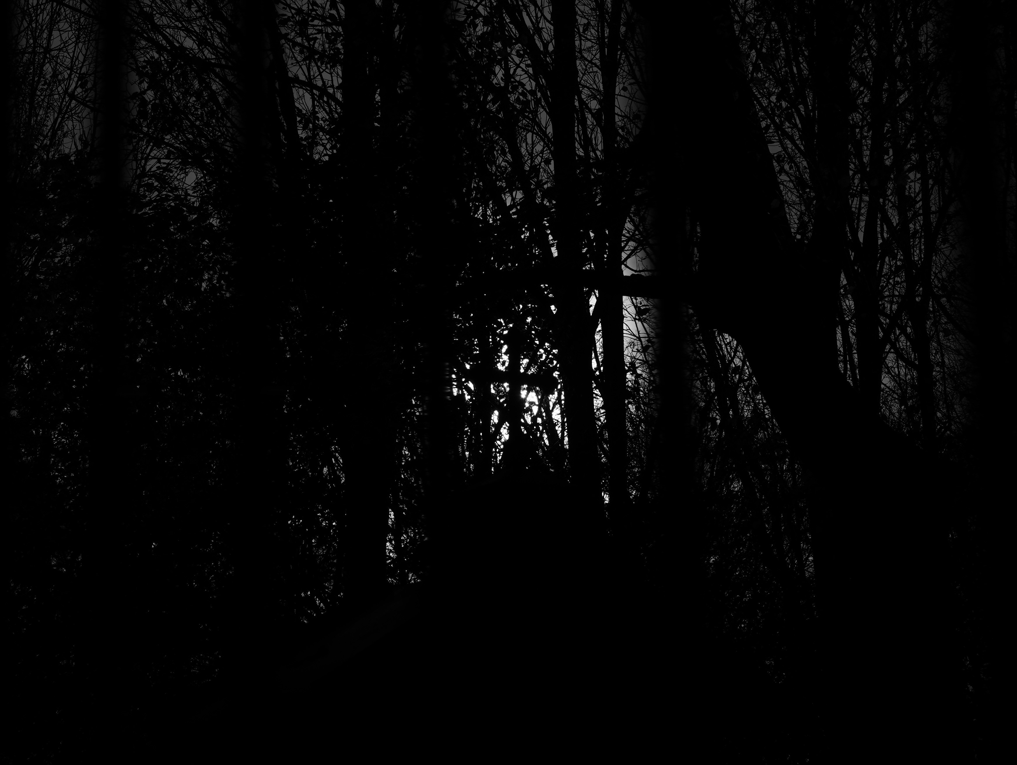 El eco de las sombras