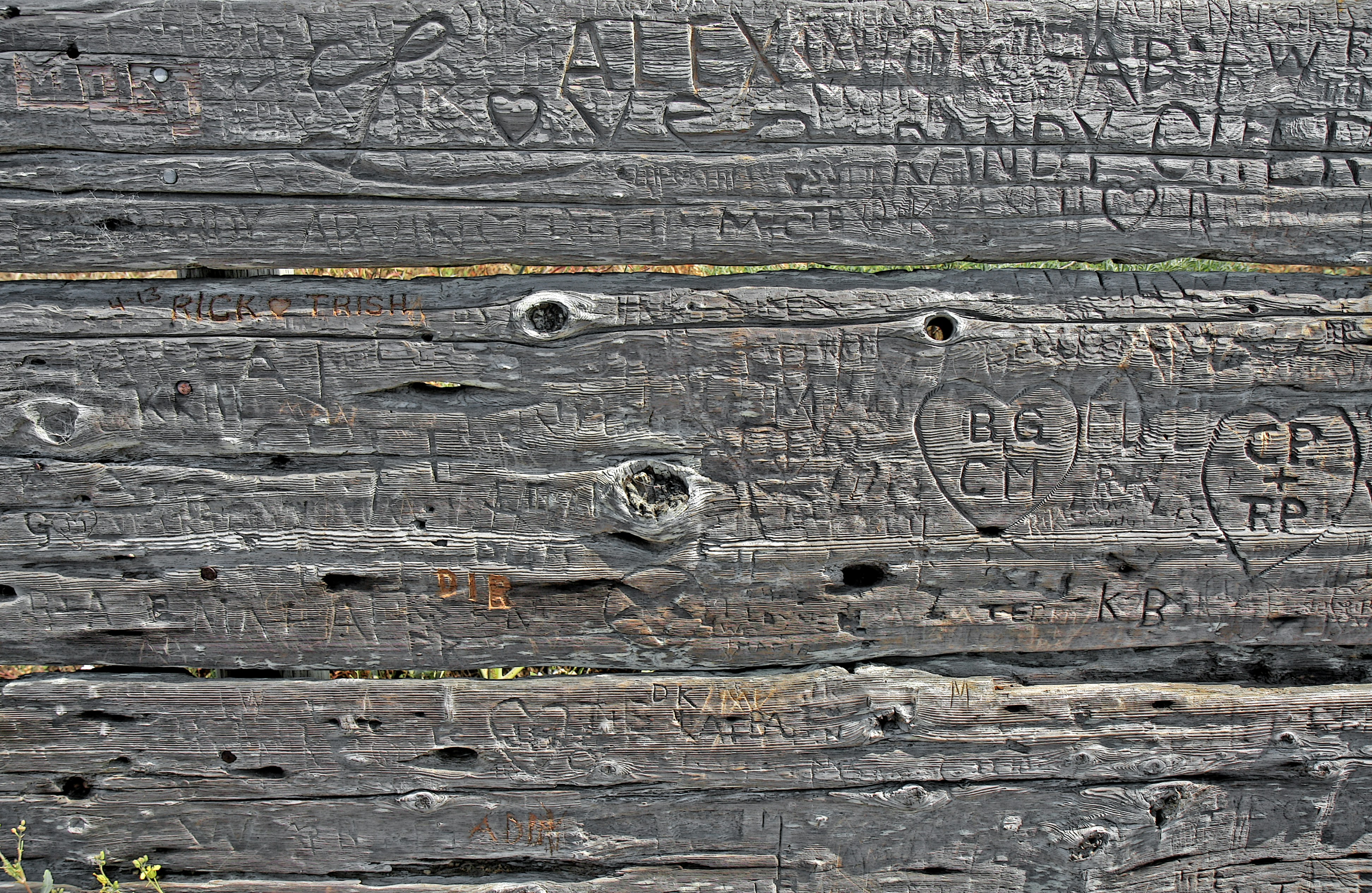 The Names That Stayed