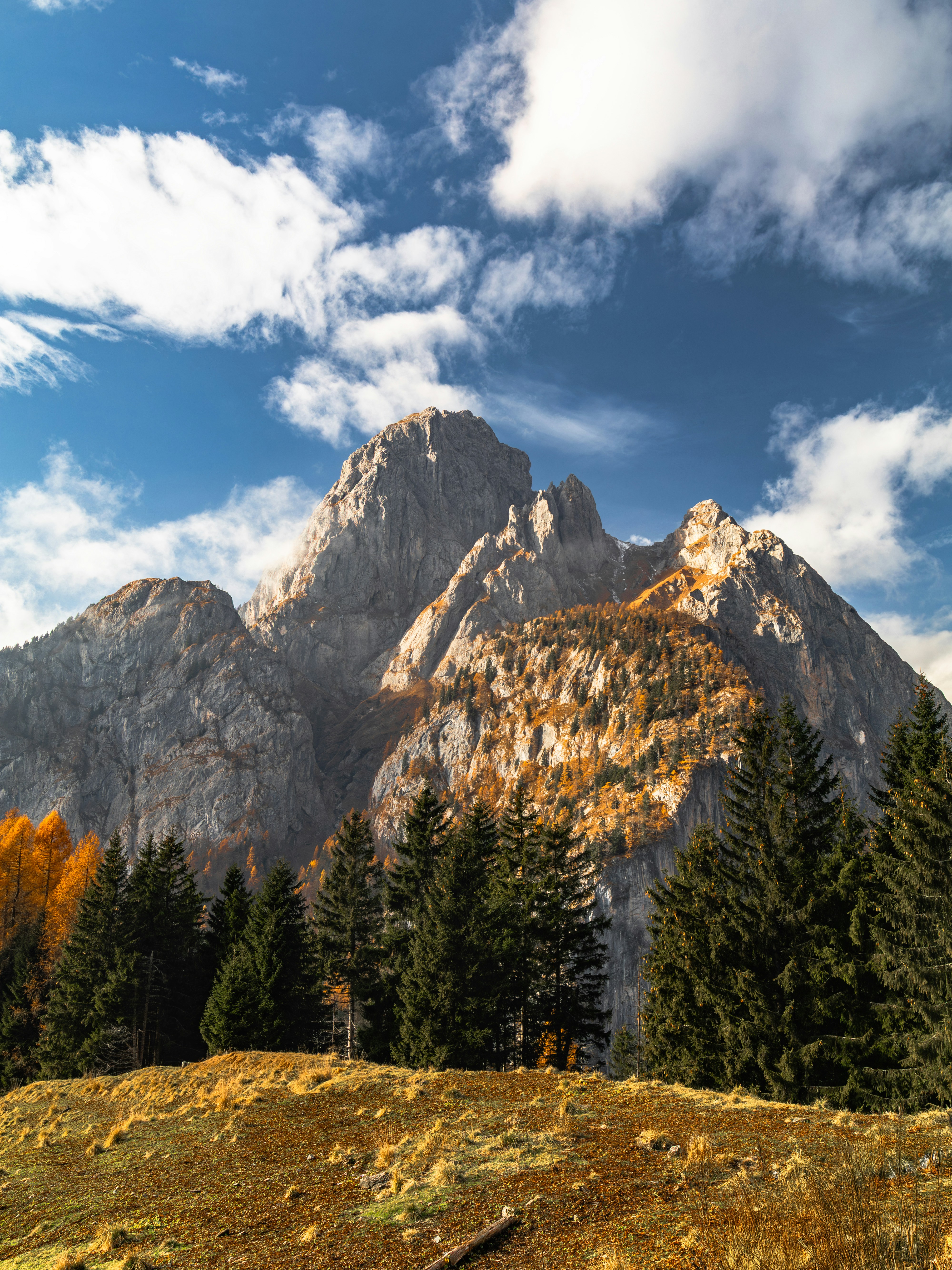 Photo by merlin_photo