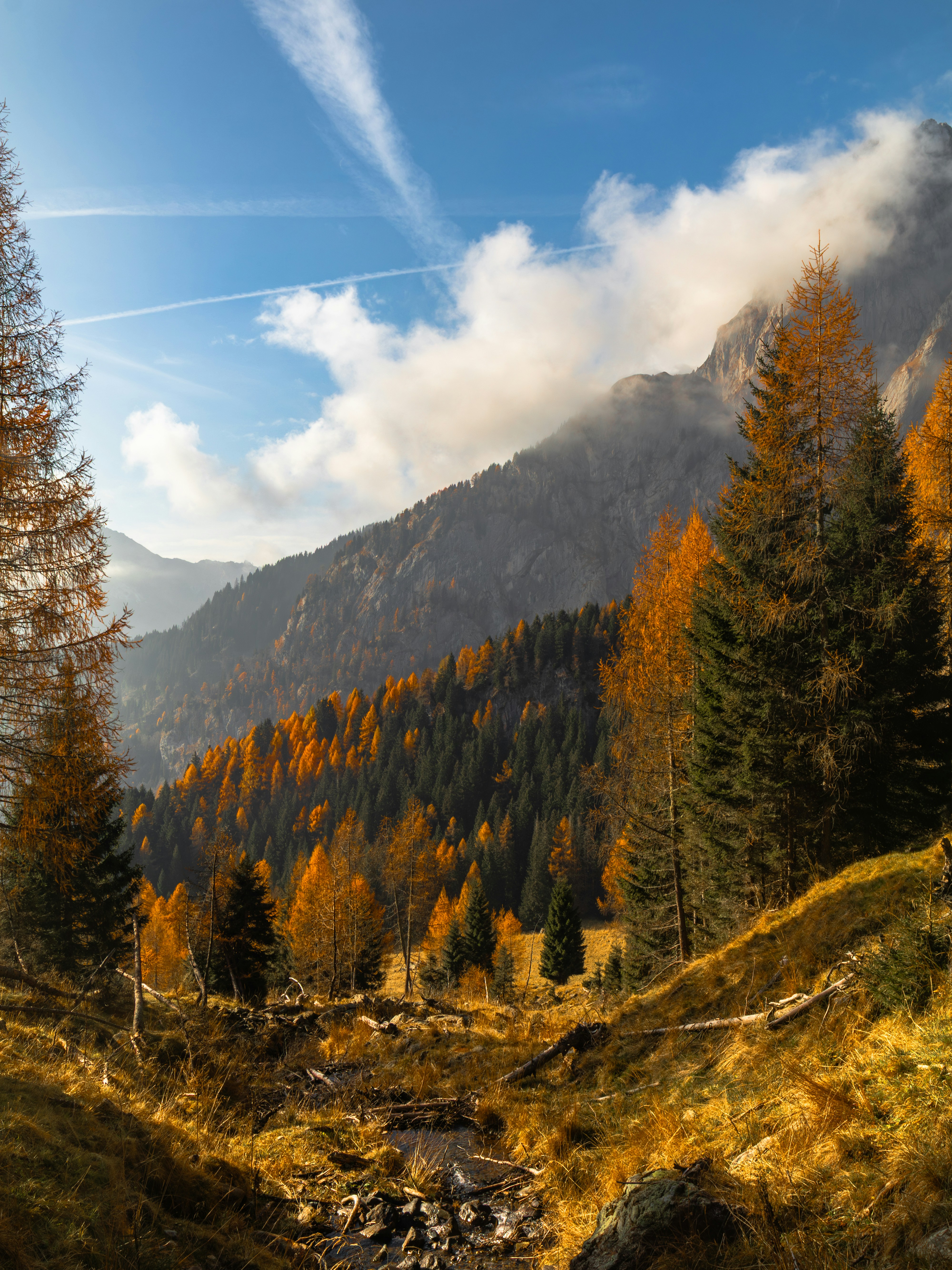 Photo by merlin_photo