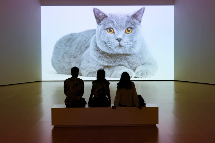 Audience watching a large projection in a darkened space — the viewing situation that Sayaka Mori's video work asks for