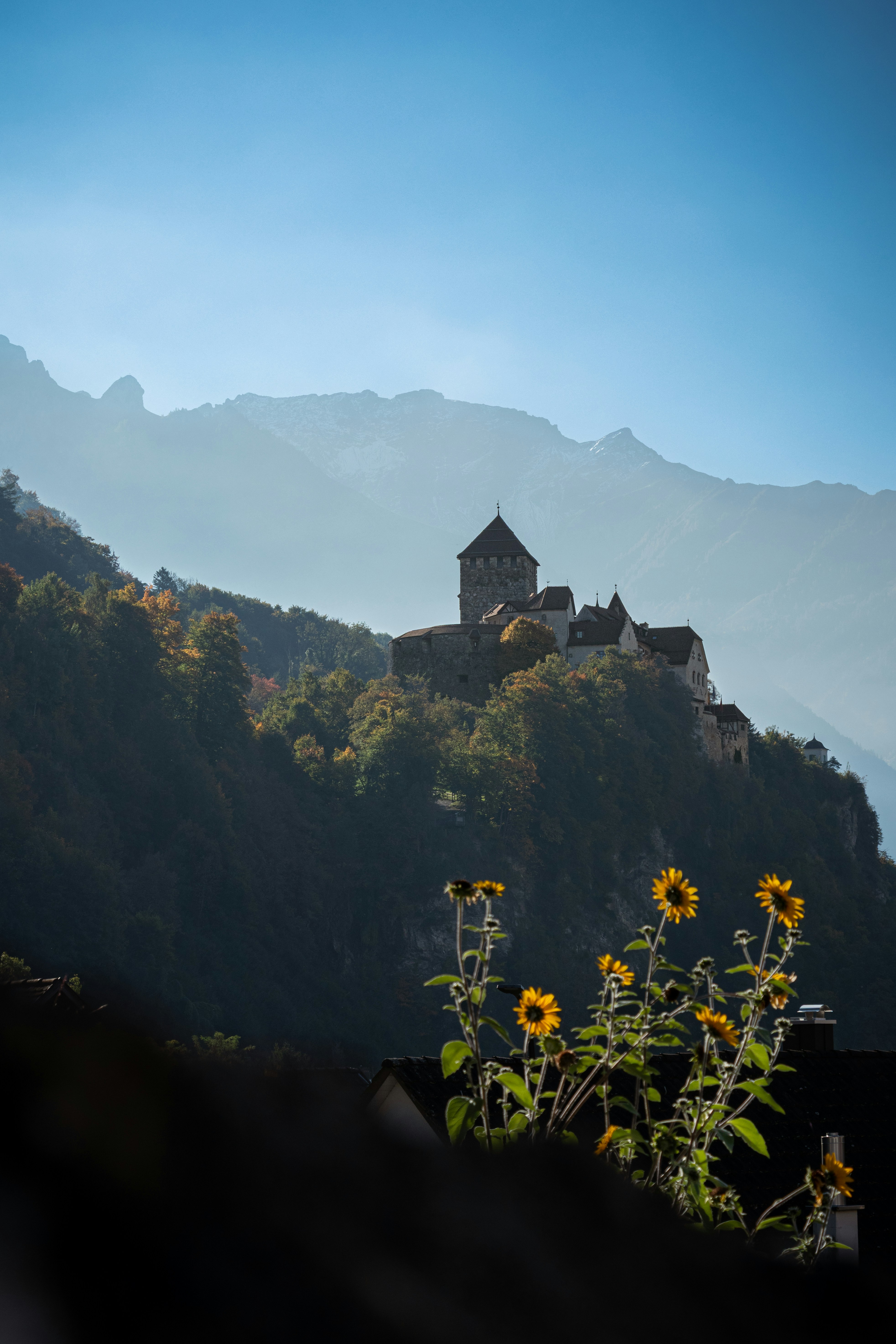 Photo by daanverhoost