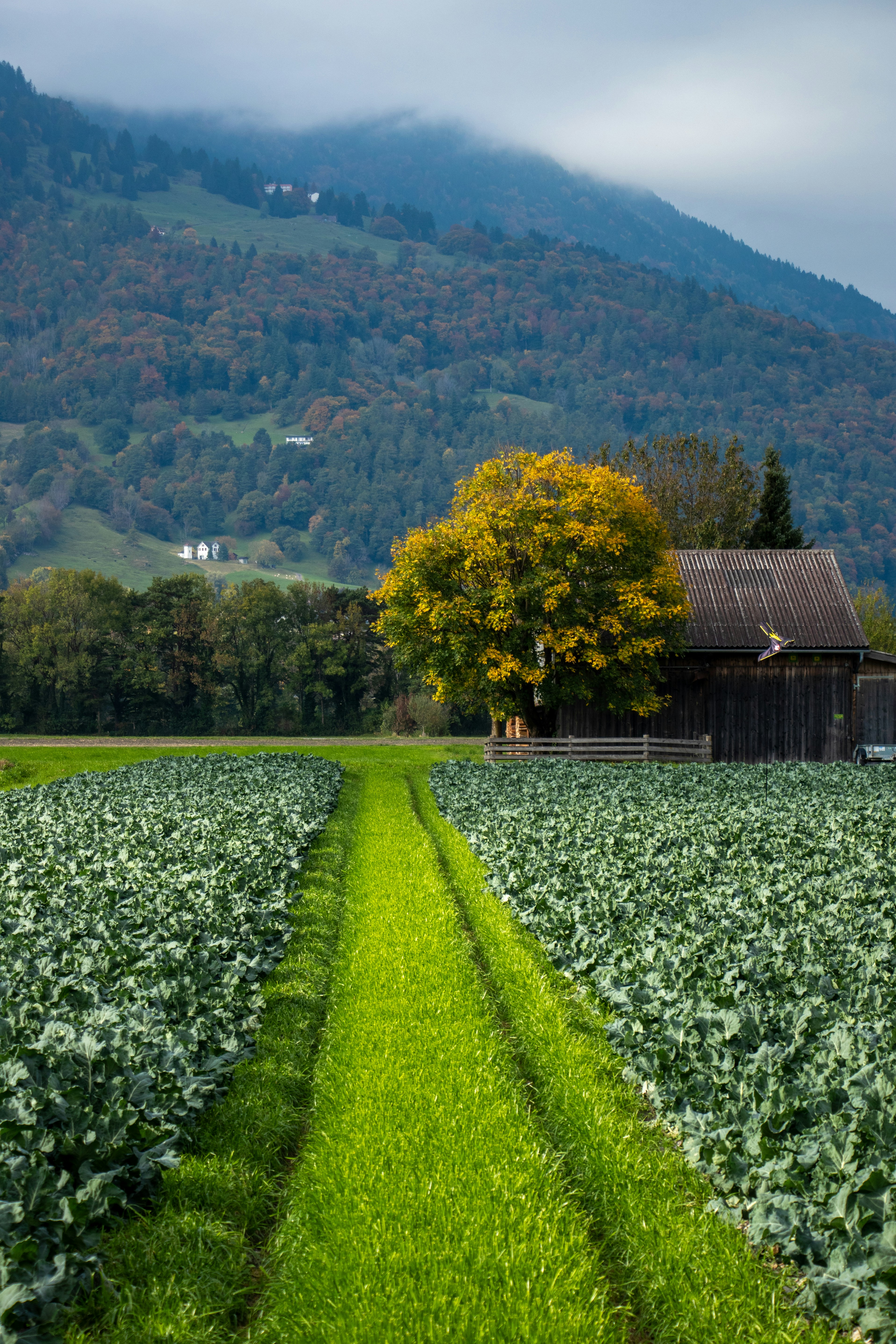 Photo by daanverhoost