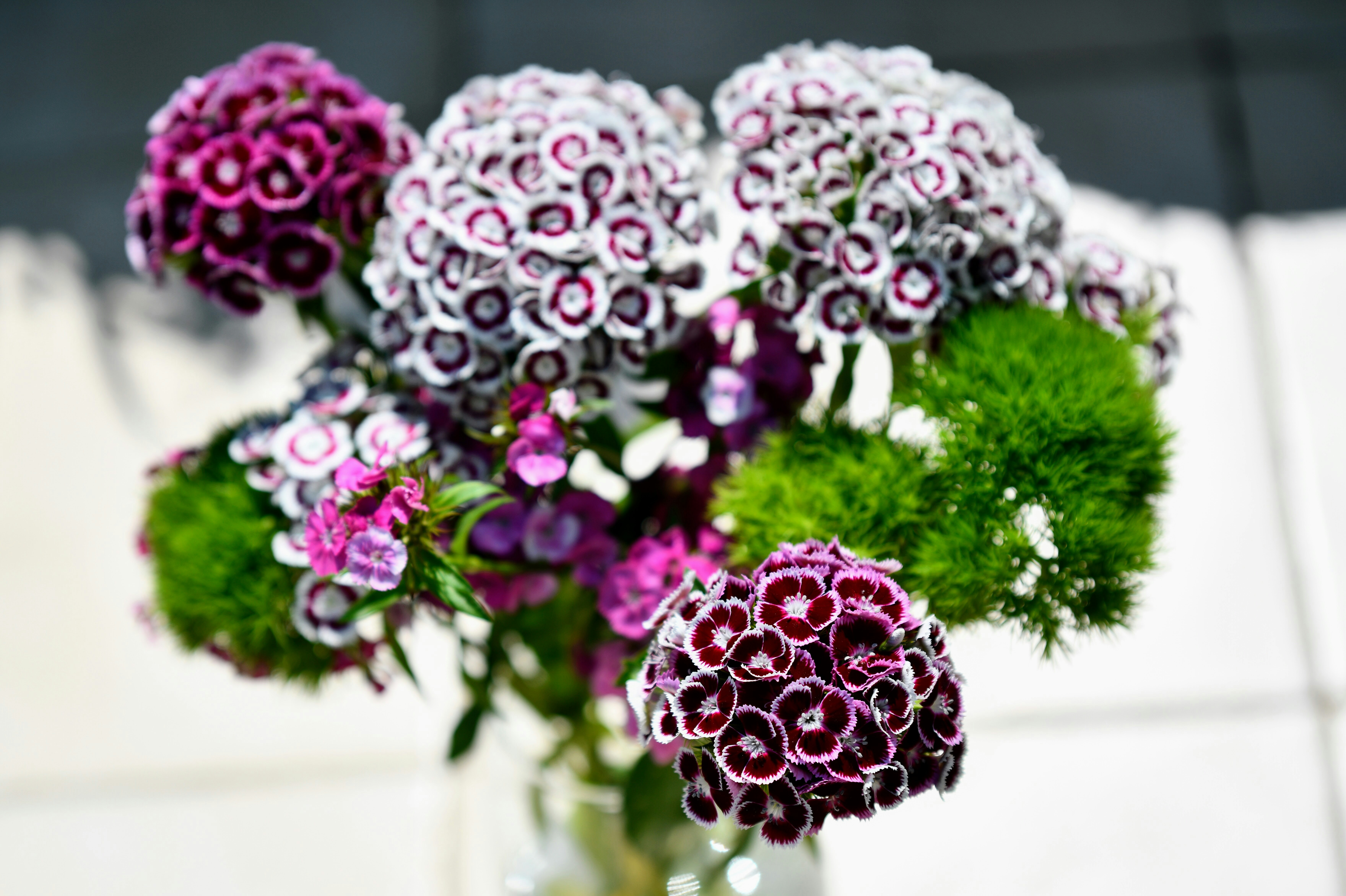 Ein Strauß aus bunten Blumen mit grünen Akzenten.