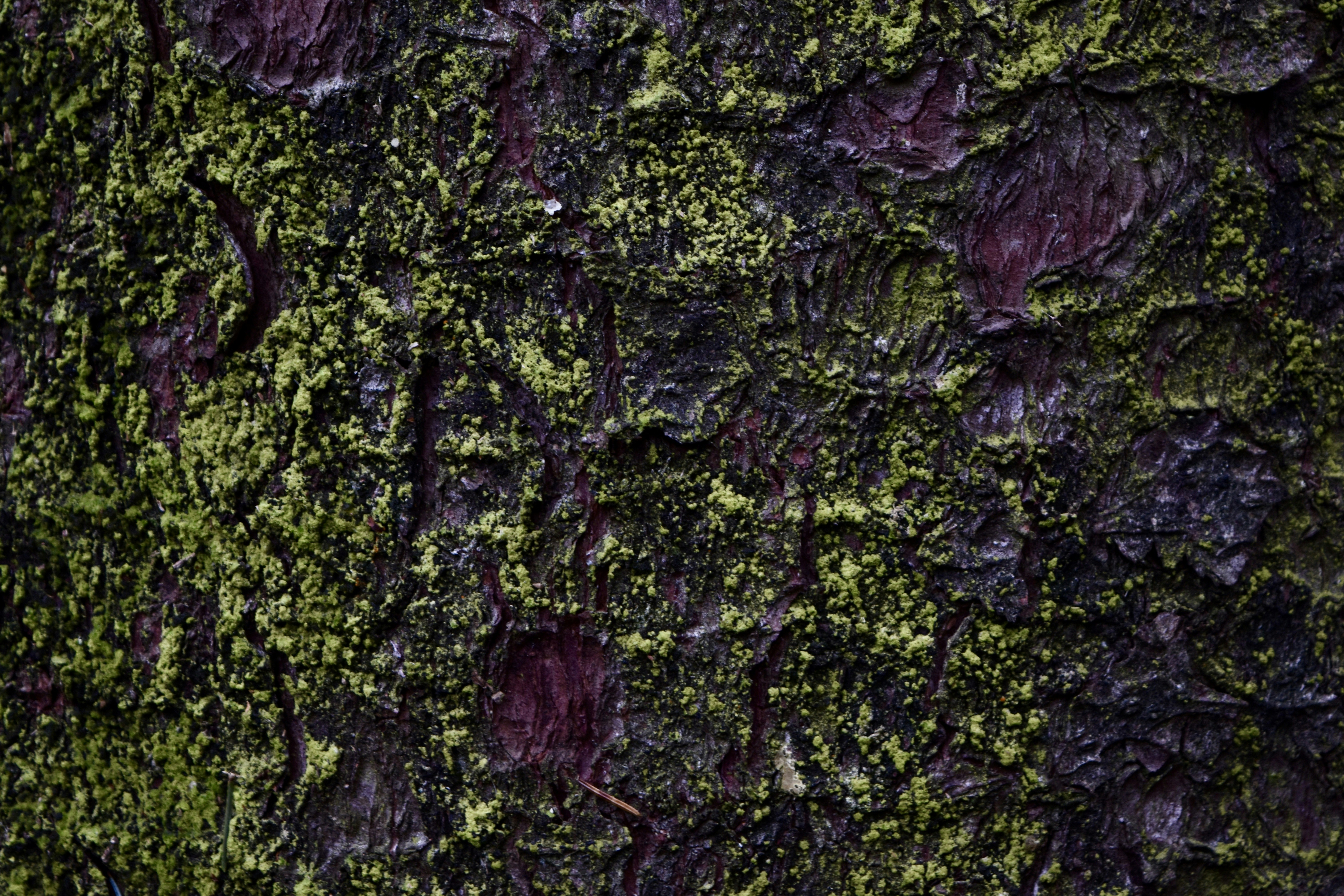 Photo by max_brindley