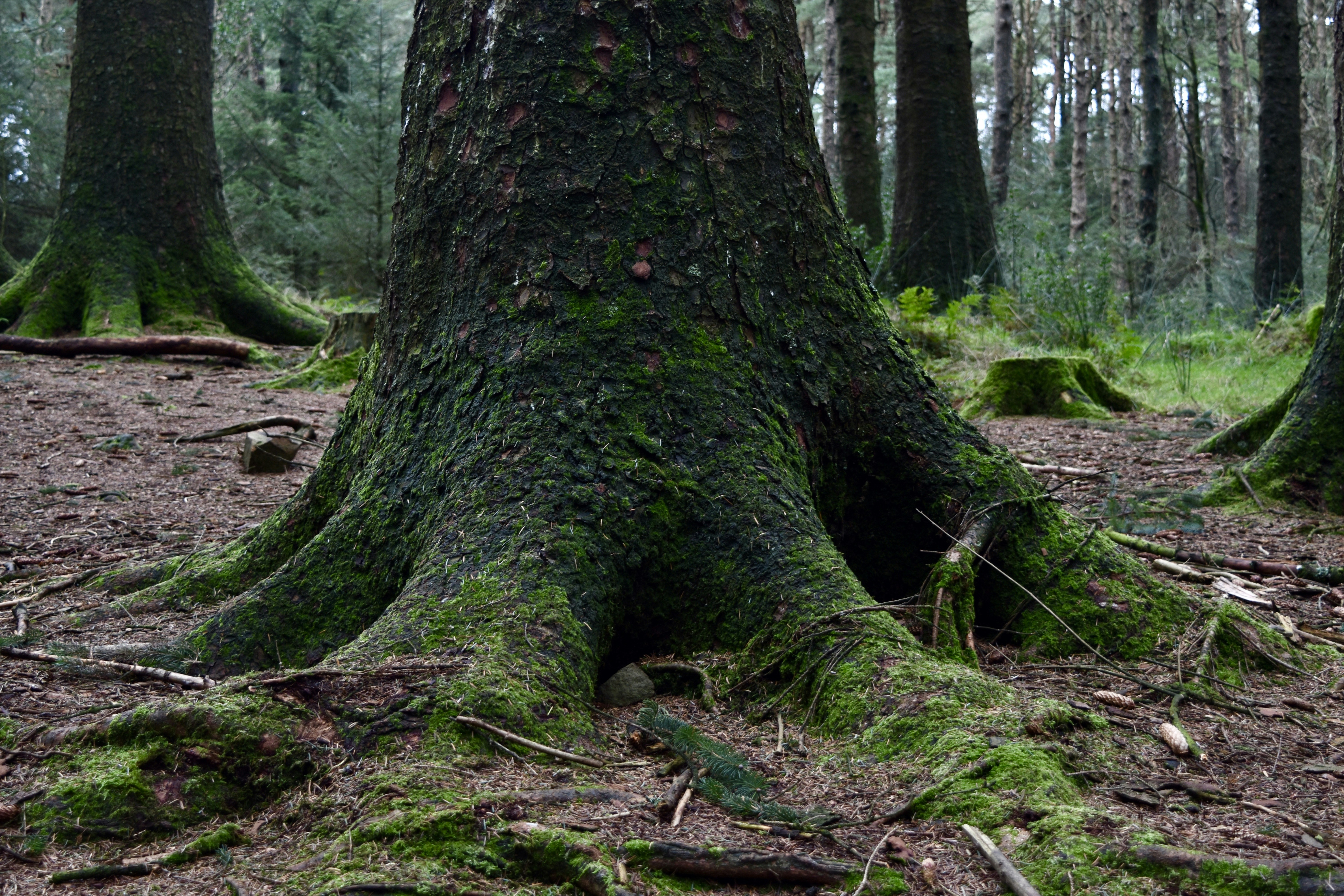 Photo by max_brindley