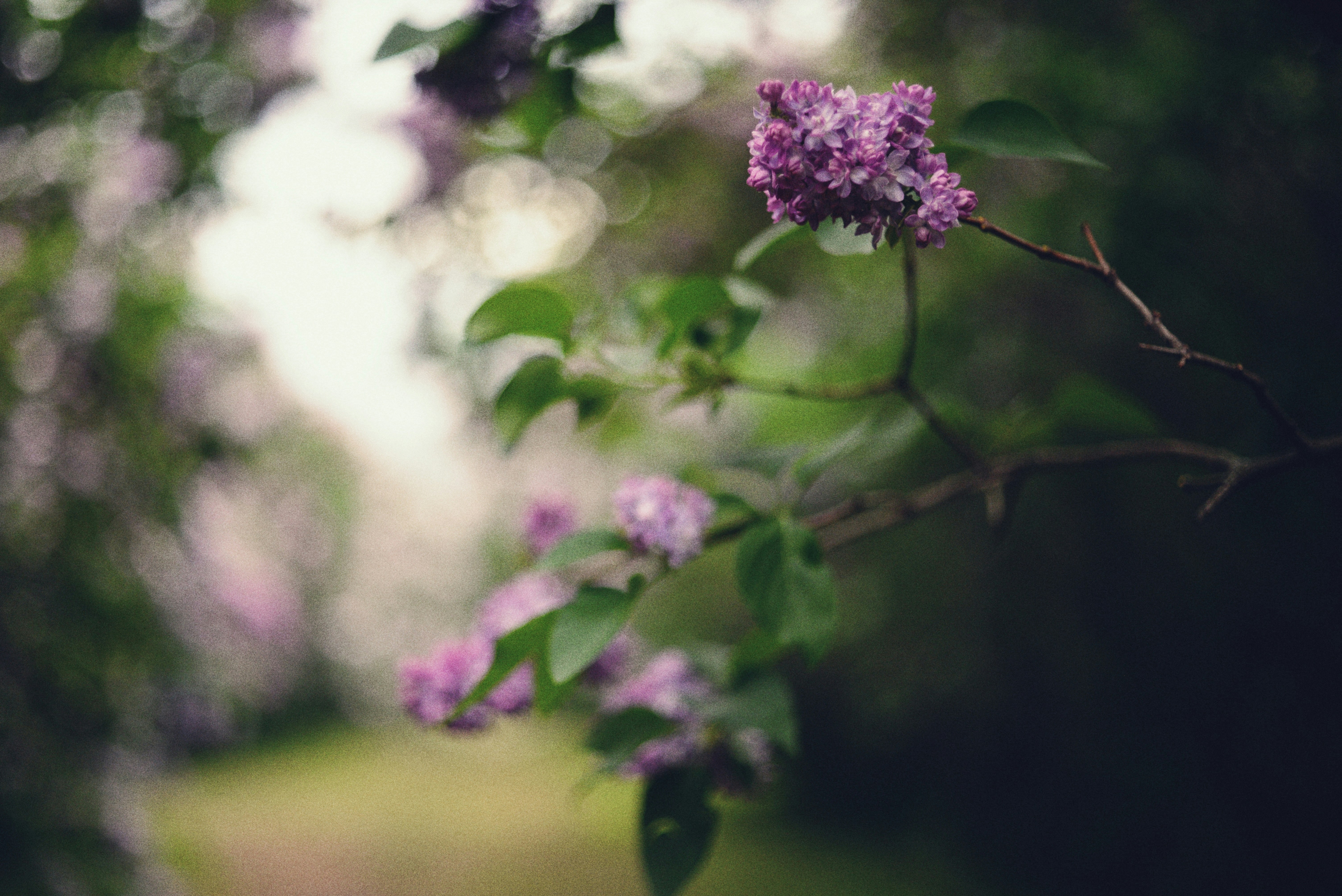 Photo by cherstve_pechivo