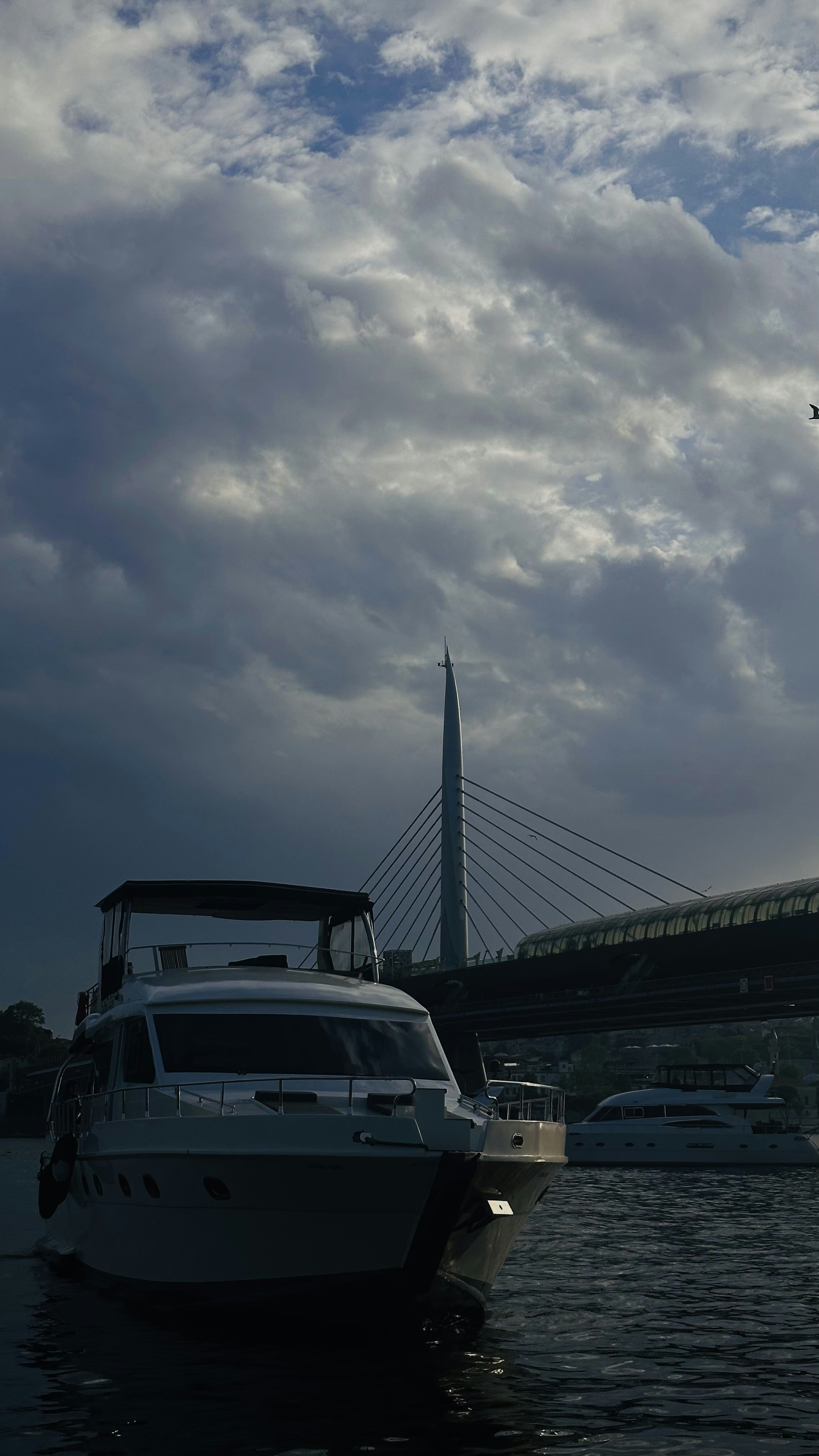Yachts on the water with a bridge overhead