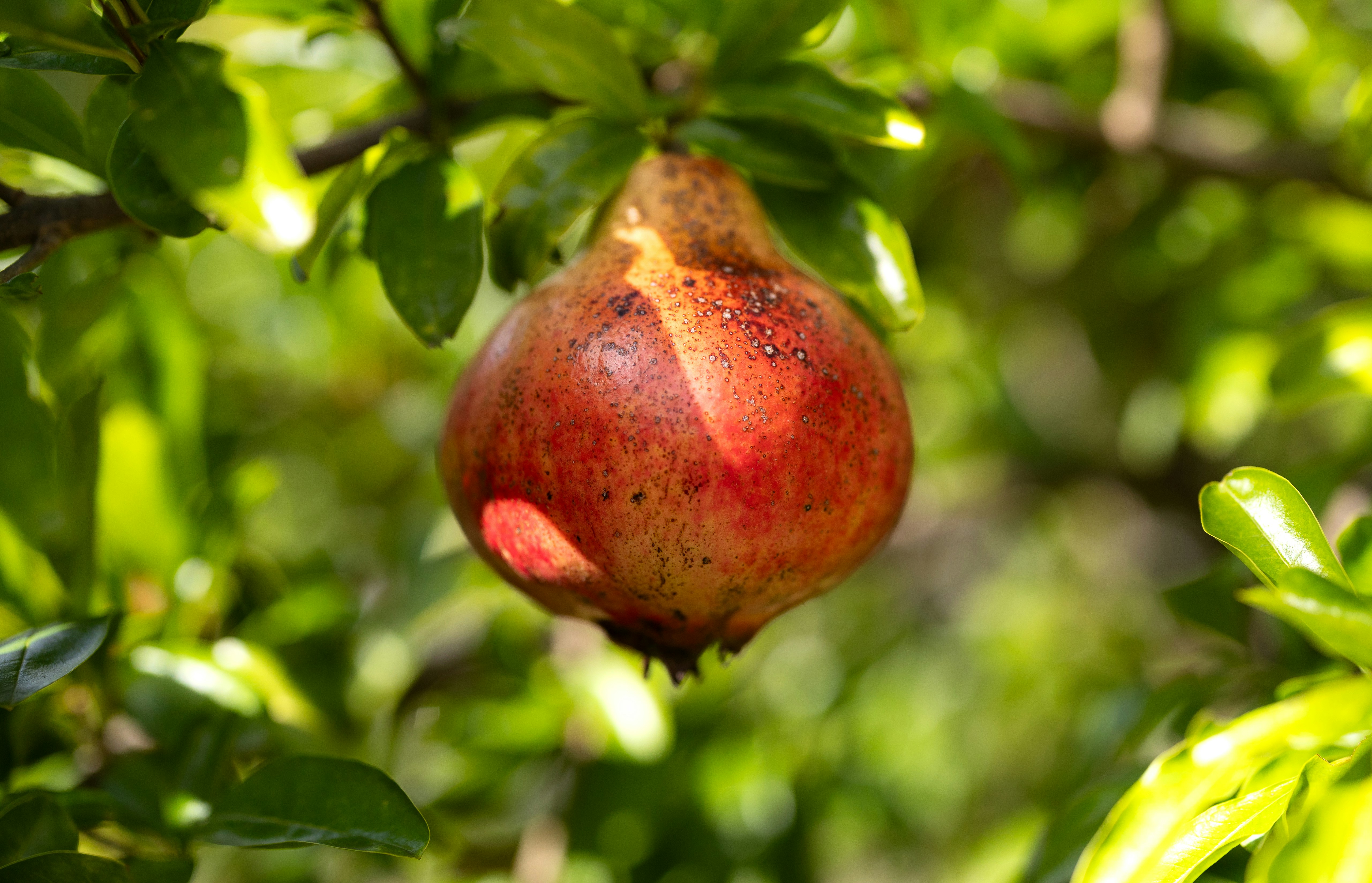 Photo by marekpiwnicki