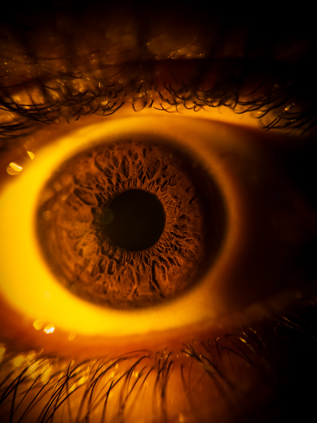 Warm amber iris under dramatic lighting