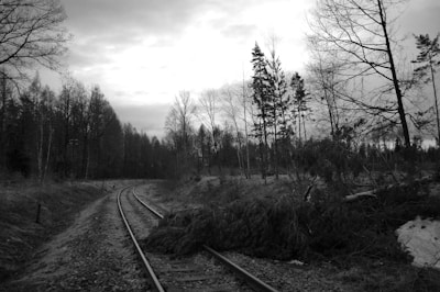 Train tracks curve through a forest under a cloudy sky