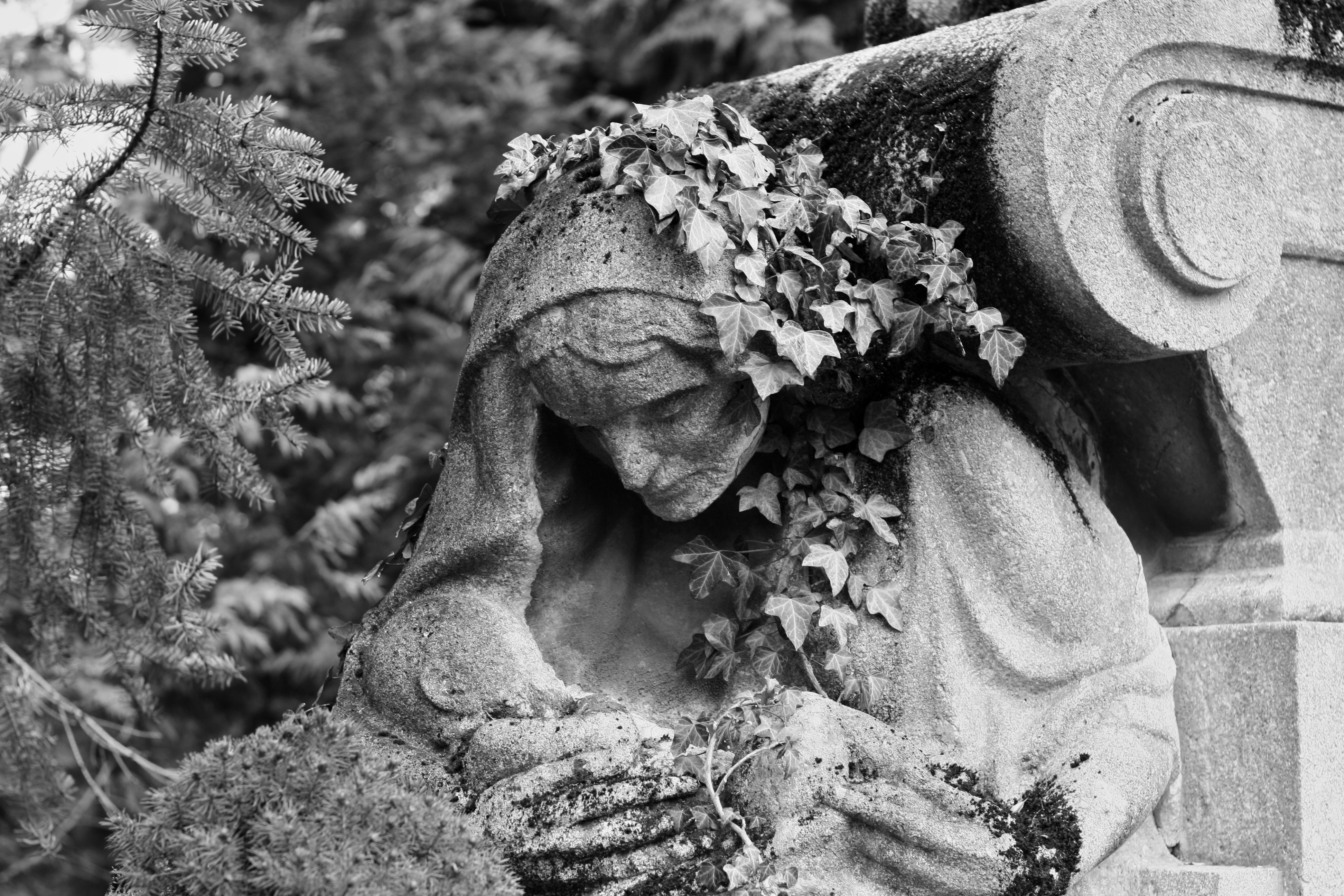 Photo by nikodemus777