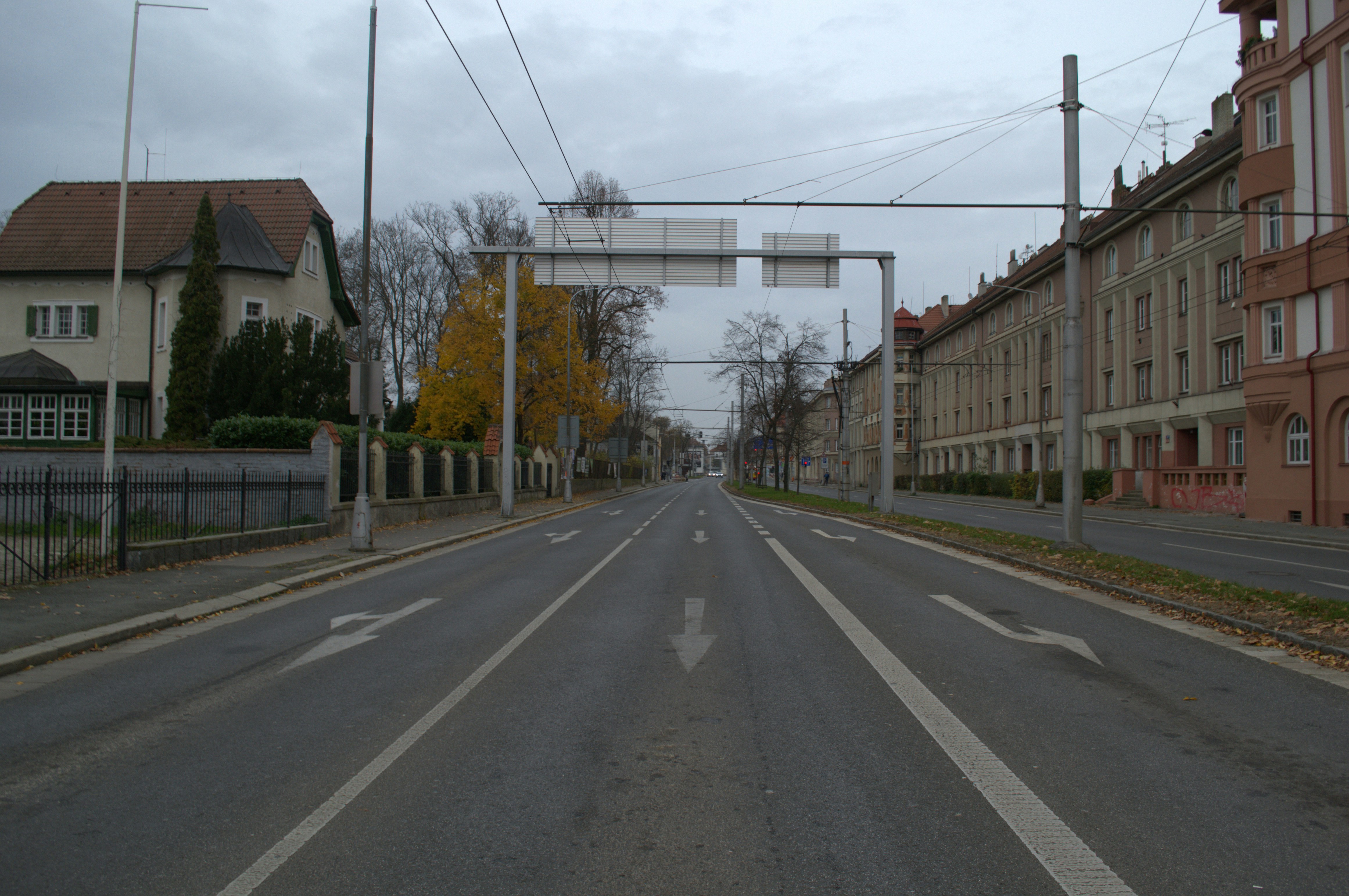 Photo by viktor_rejent