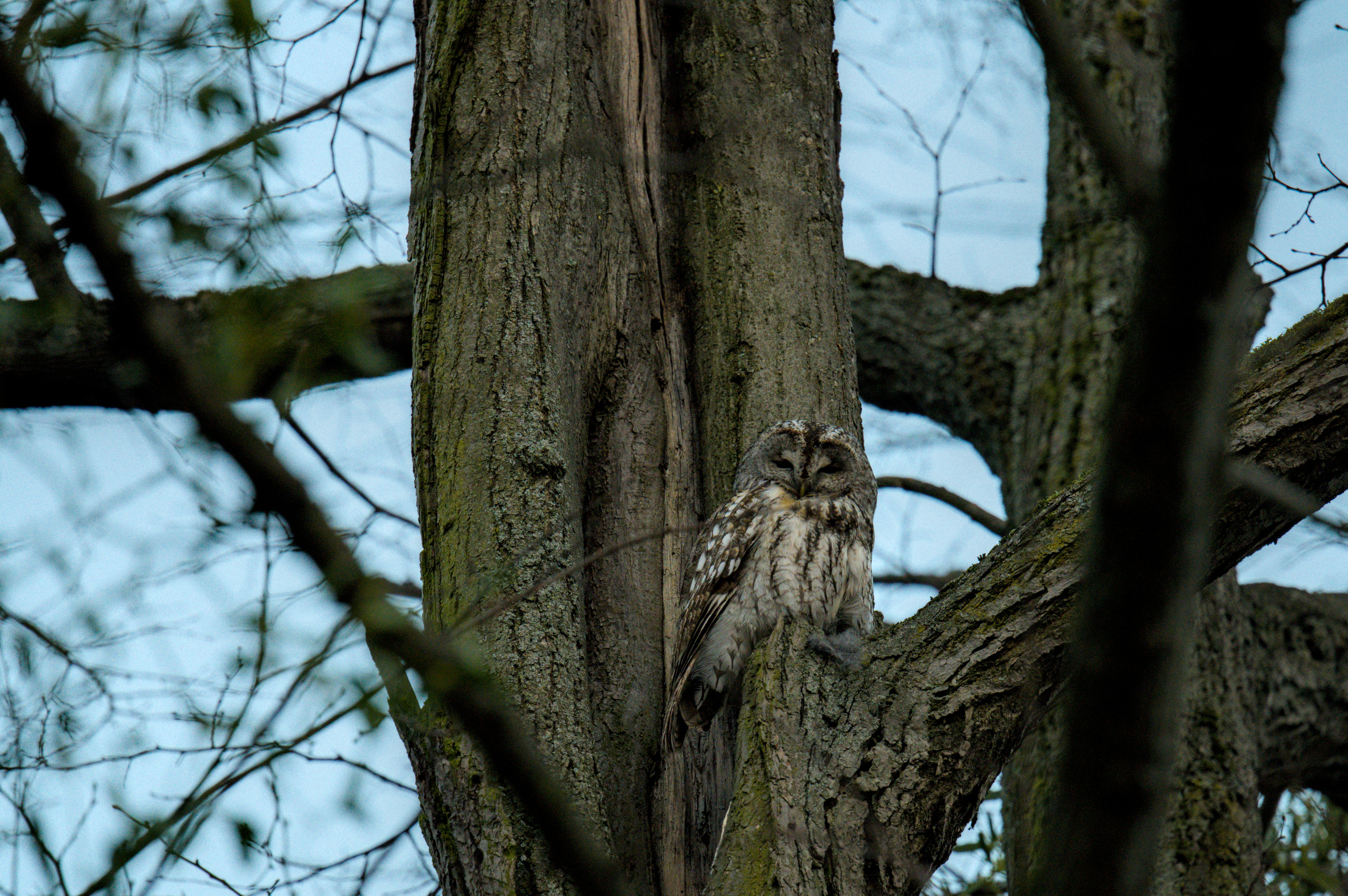 Photo by valentin_karisch