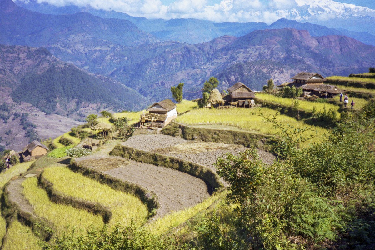 Terraced hillside village in the Nepal hills, the kind of home eligible for homestay registration