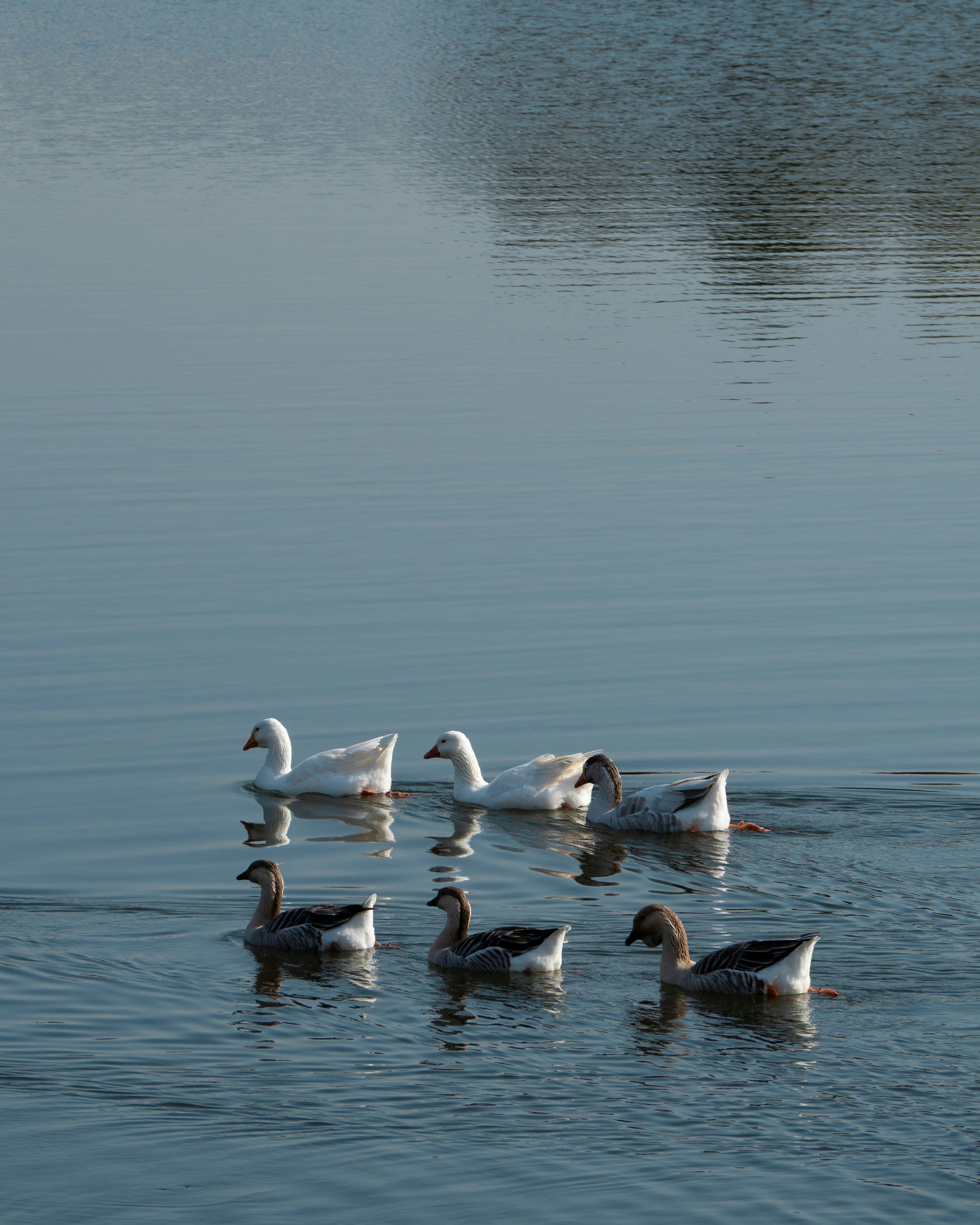 Photo by klajdmurataj