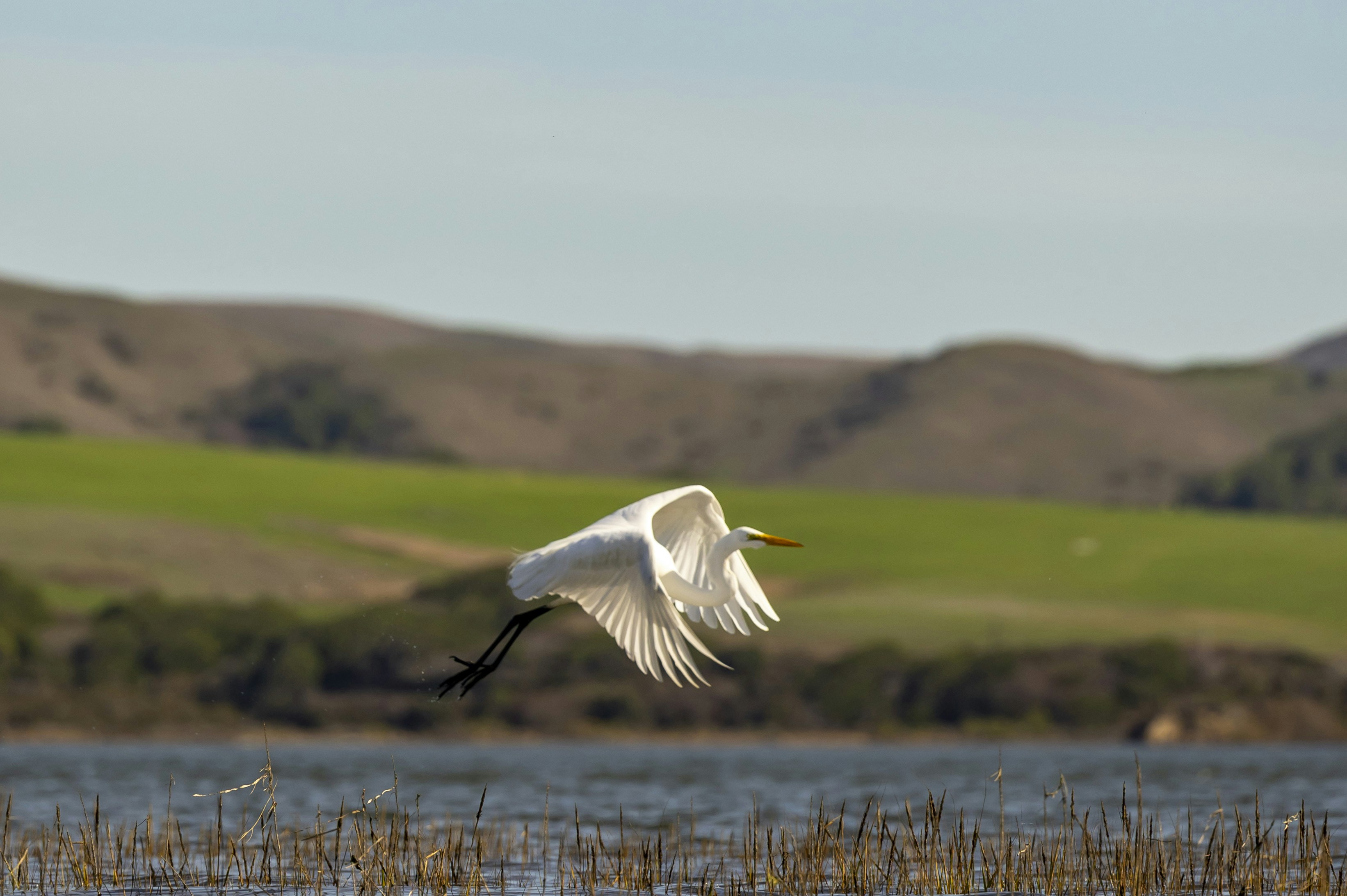 Photo by leo_visions_