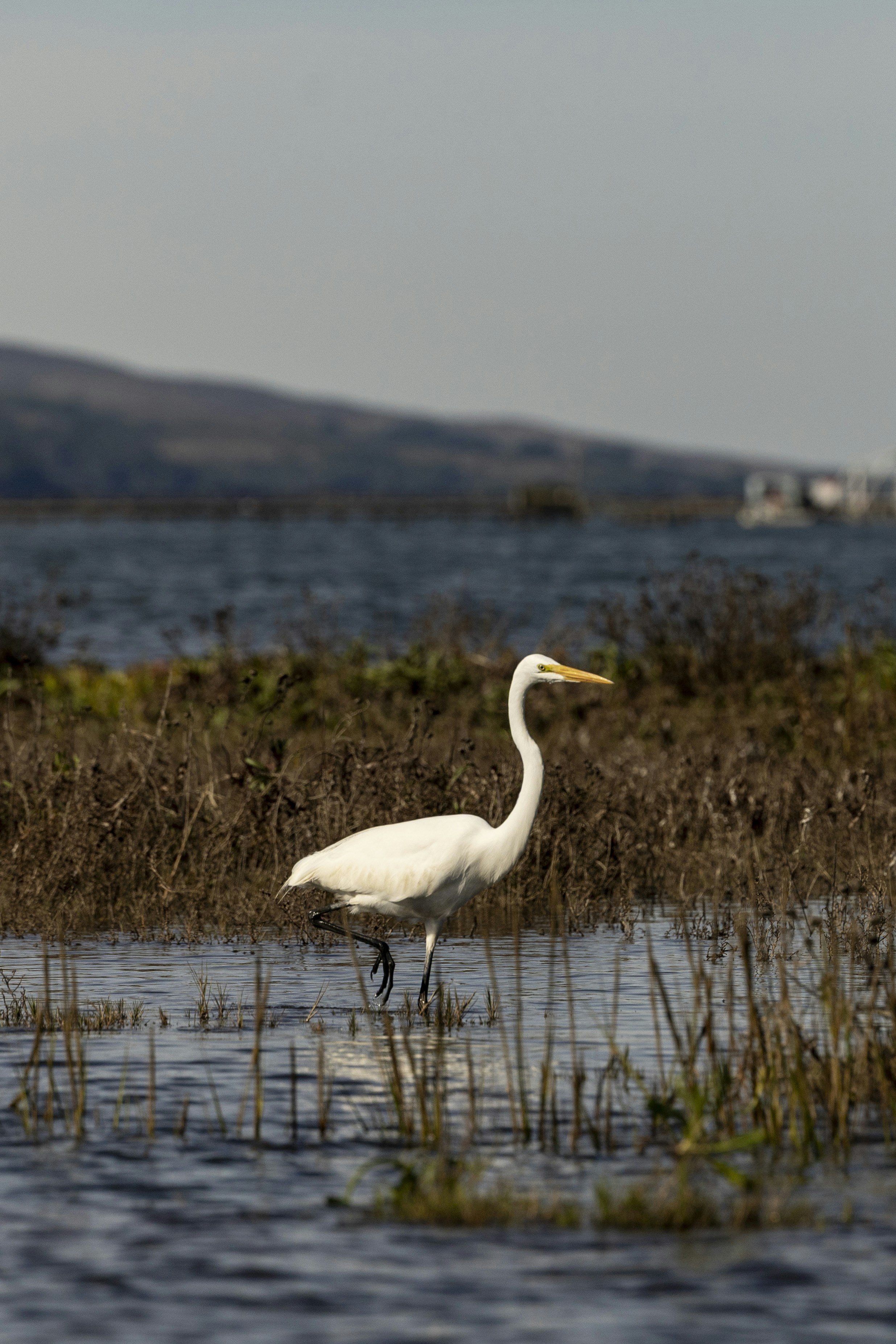 Photo by leo_visions_