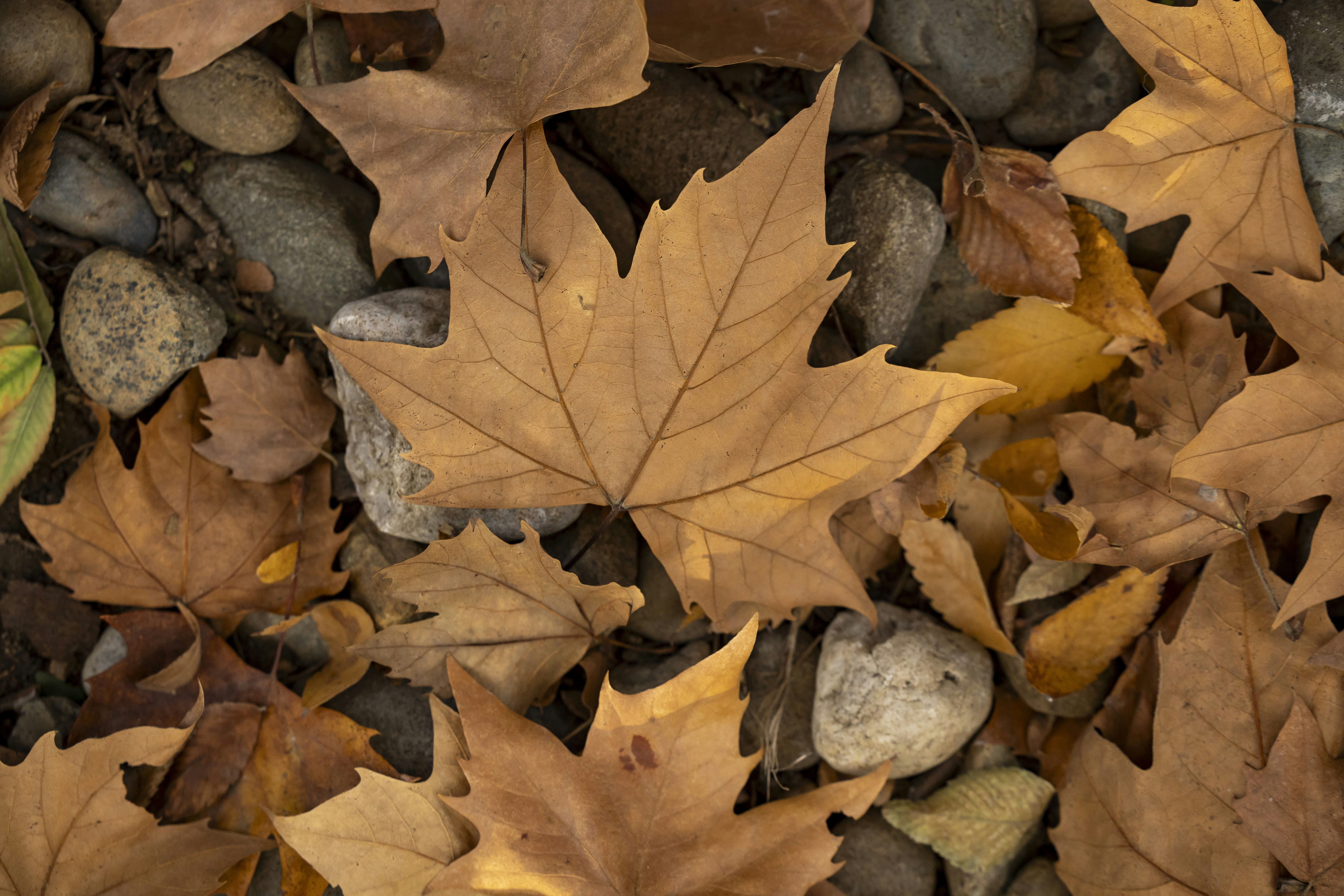 Photo by leo_visions_