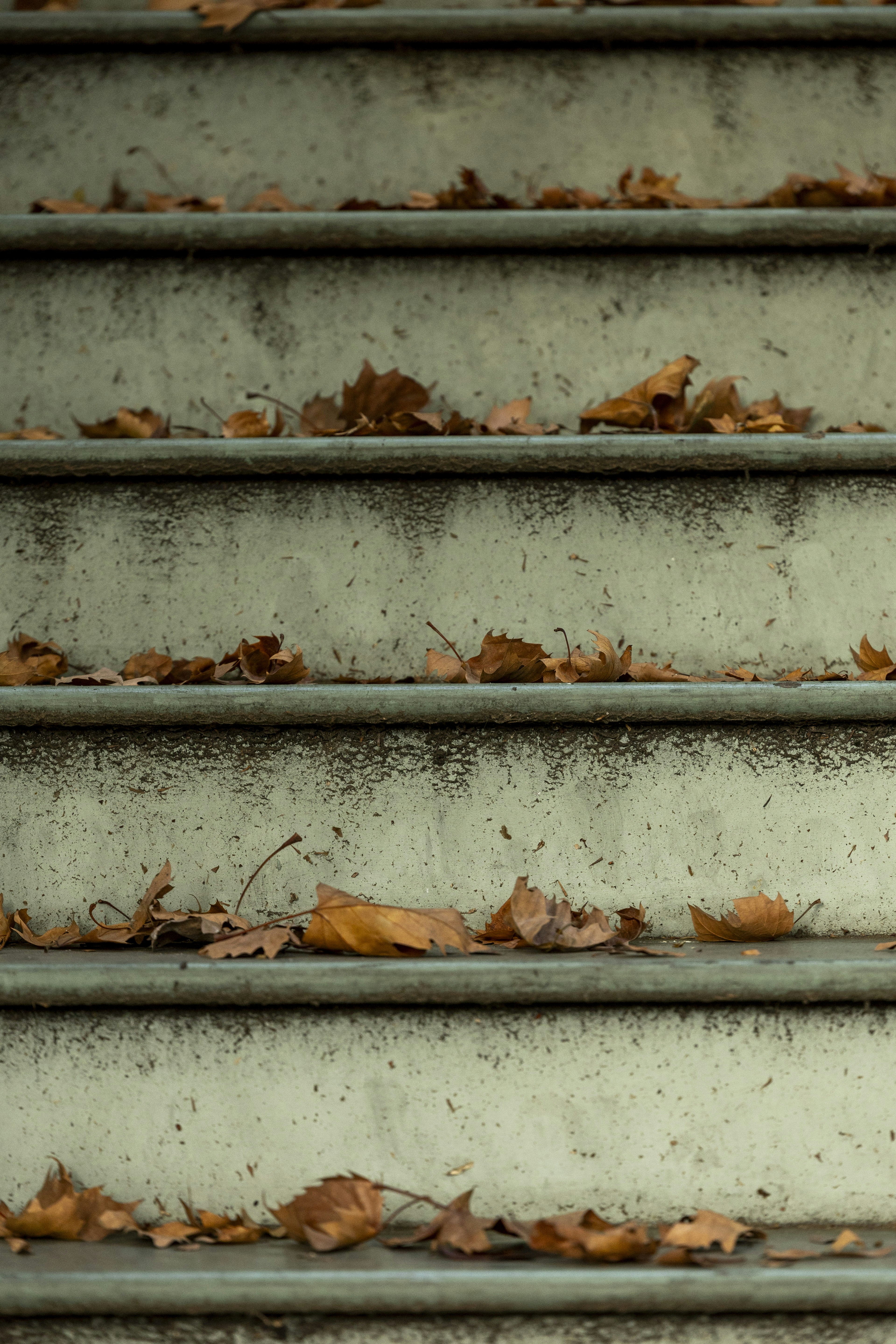 Photo by leo_visions_