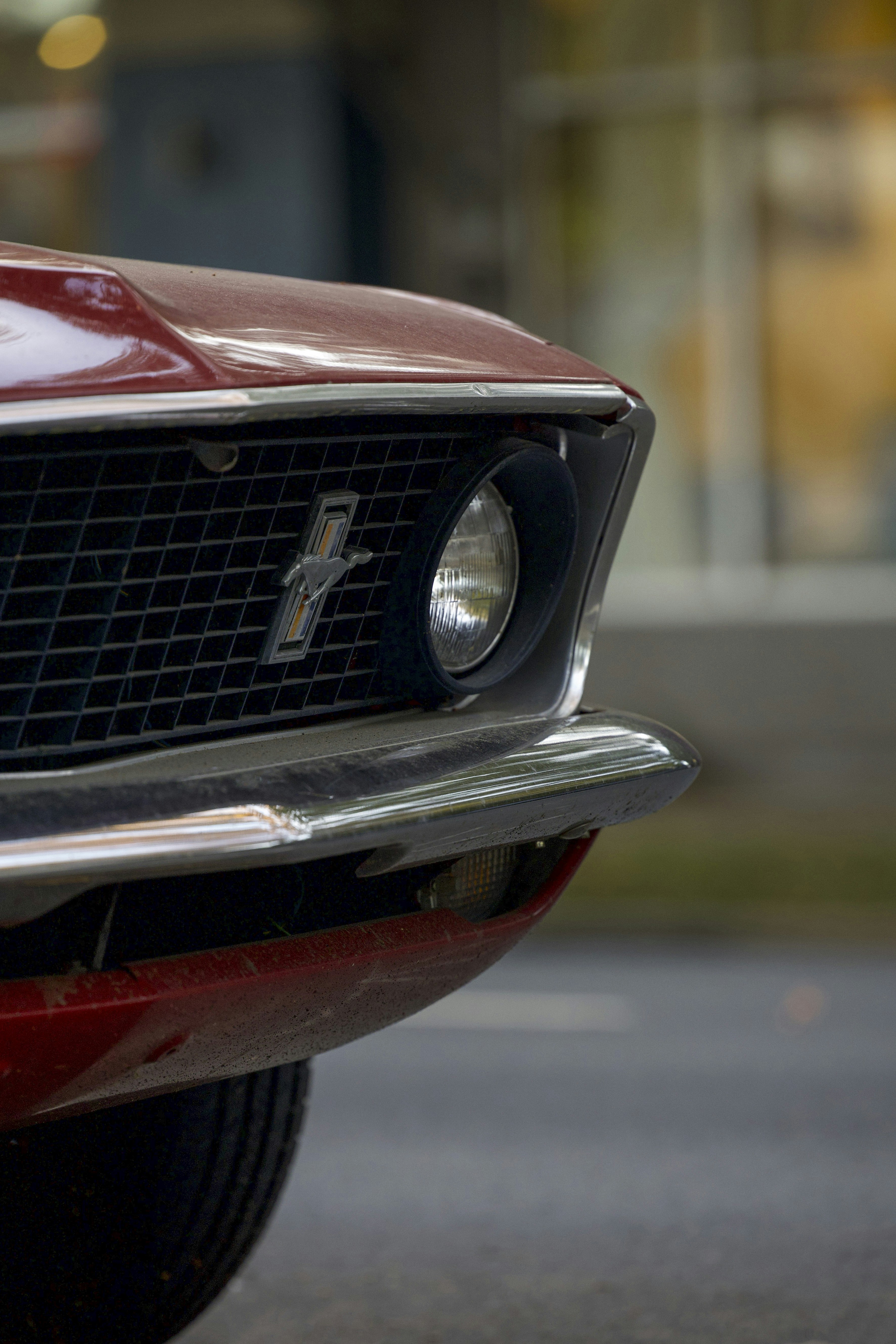 Photo by leo_visions_