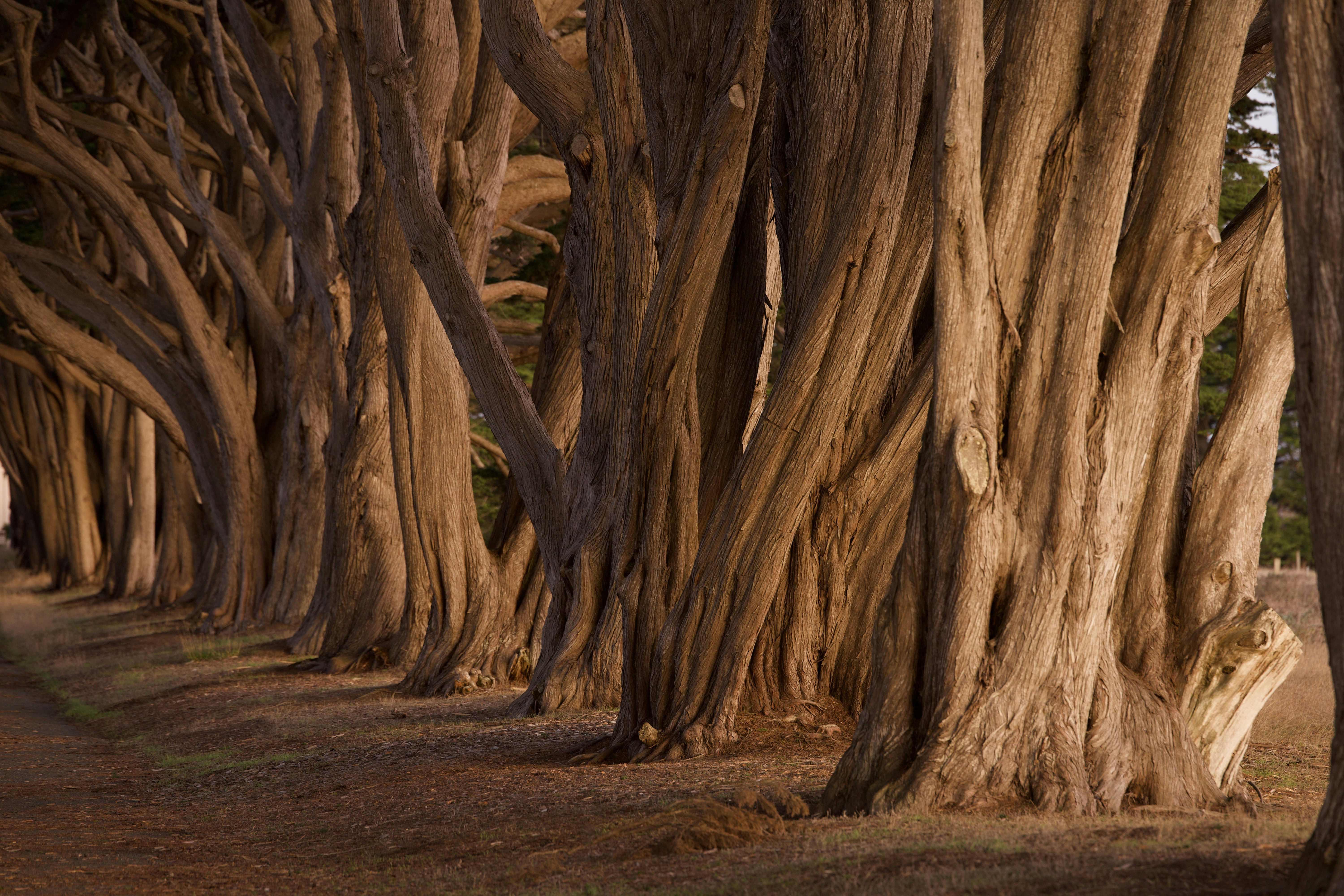 Photo by leo_visions_