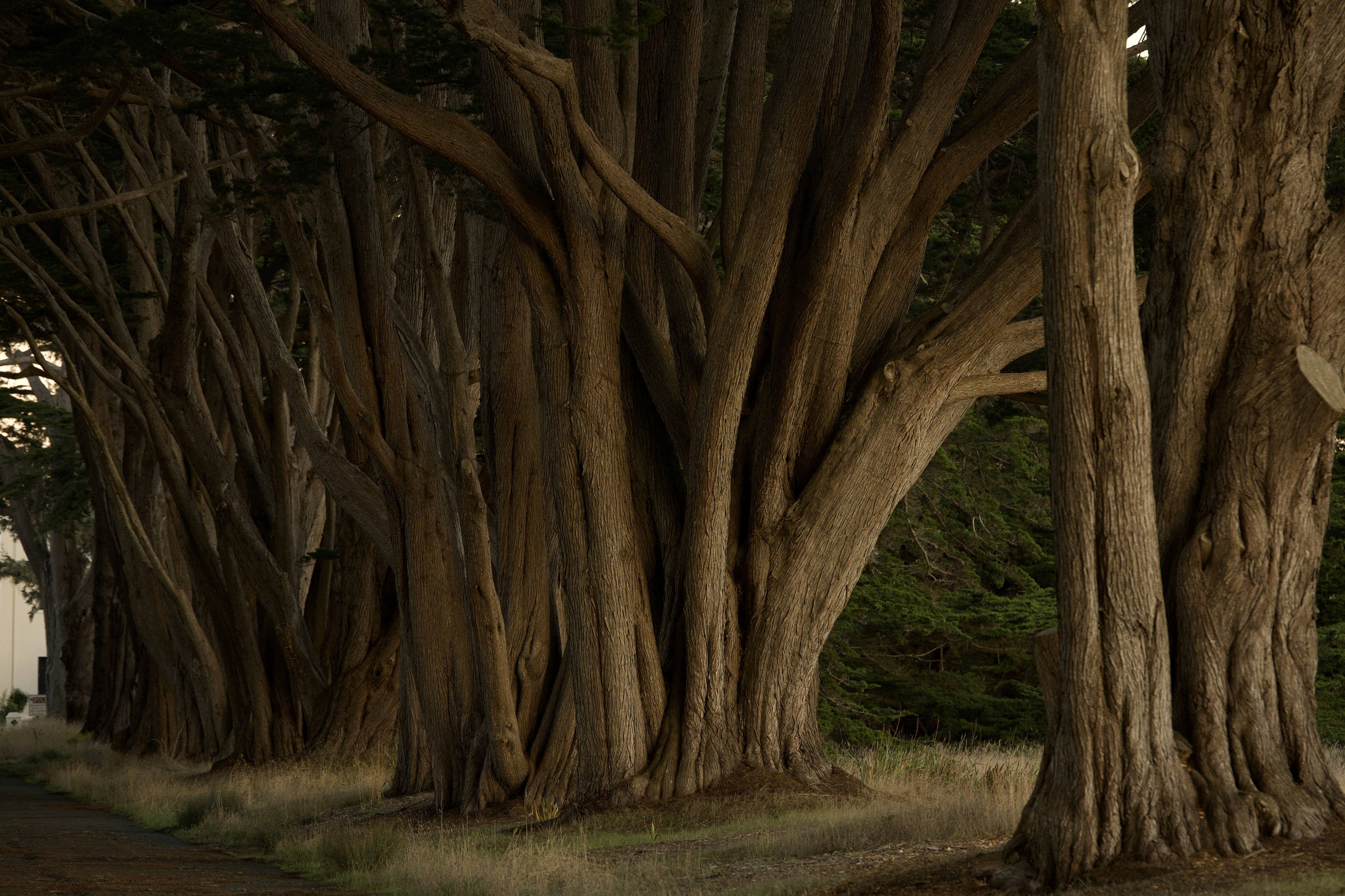 Photo by leo_visions_