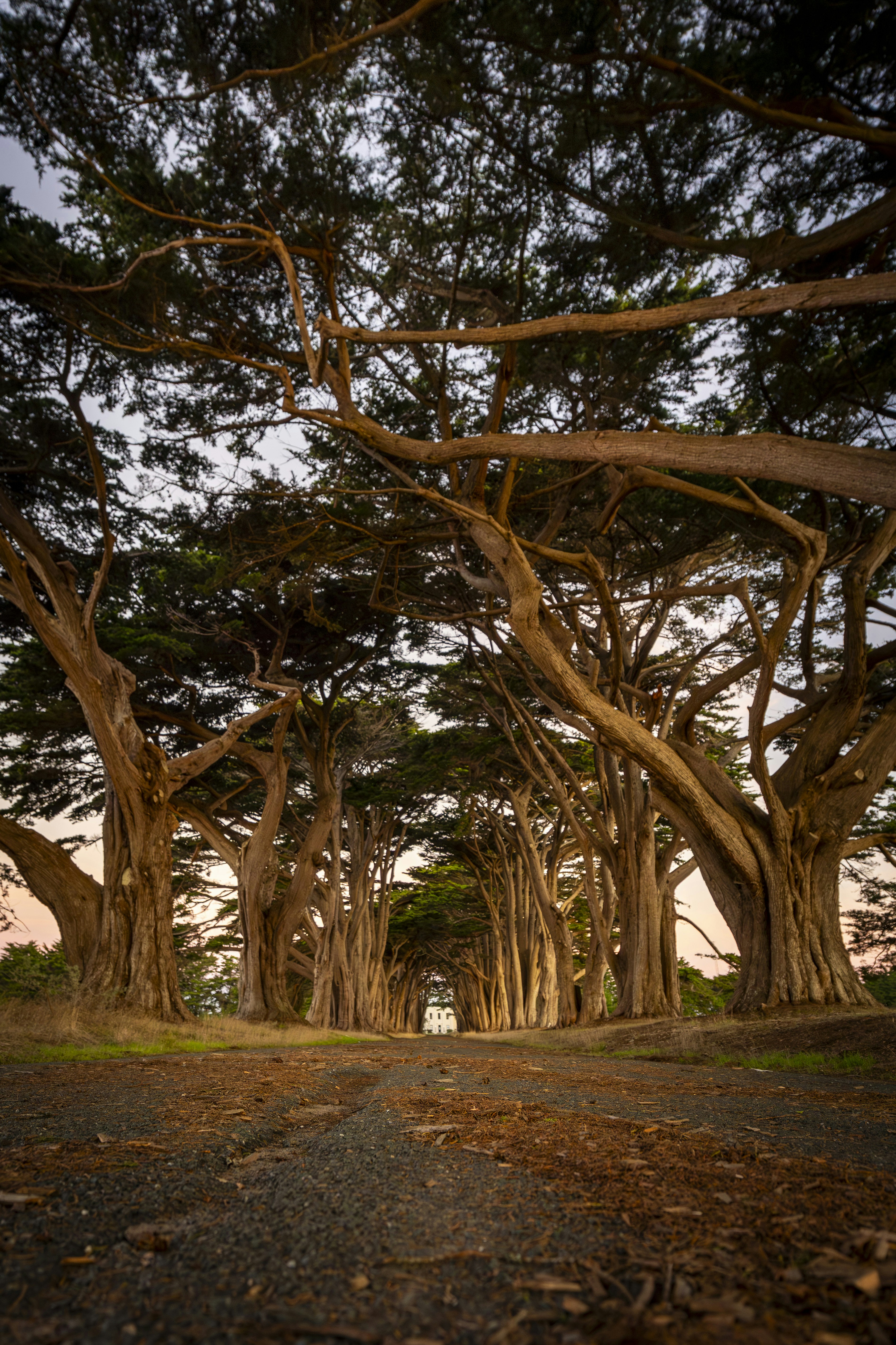 Photo by leo_visions_